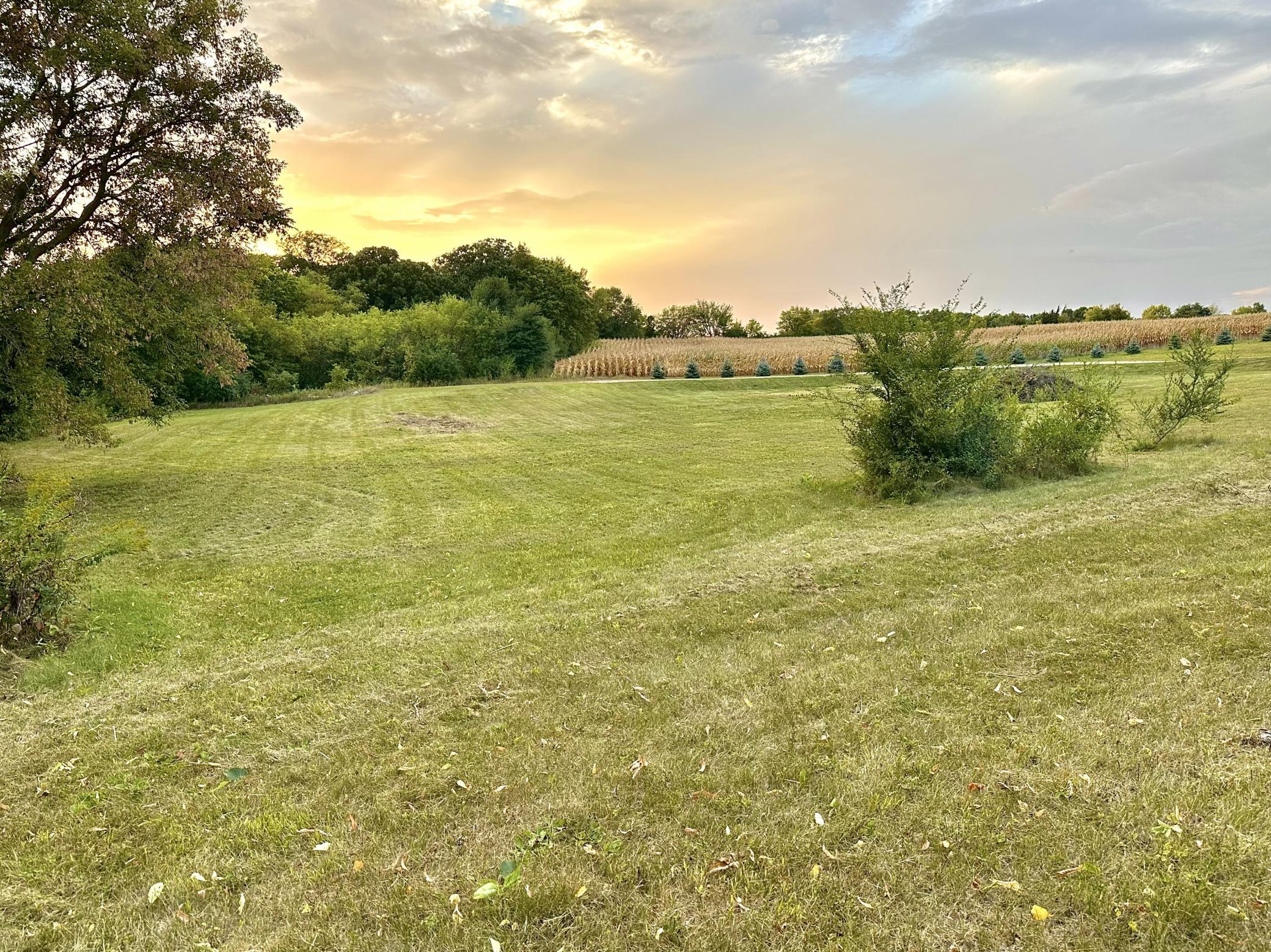 View of Land at TBD 80th Street, Annandale MN 55302, Annandale (12 of 24) - Mike Wilen | Minnesota Team Real Estate