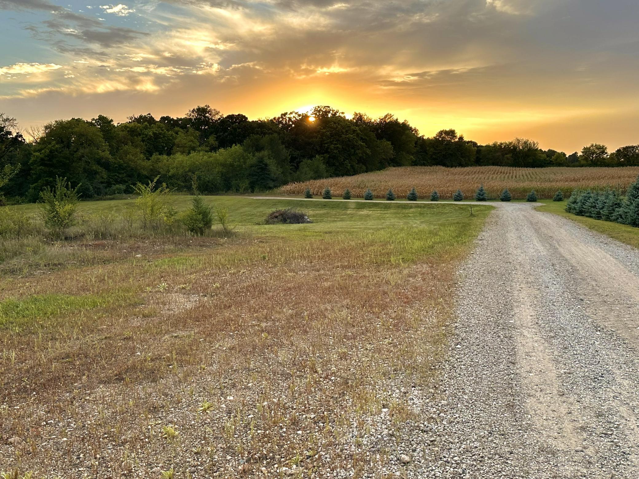 View of Land at TBD 80th Street, Annandale MN 55302, Annandale (13 of 24) - Mike Wilen | Minnesota Team Real Estate