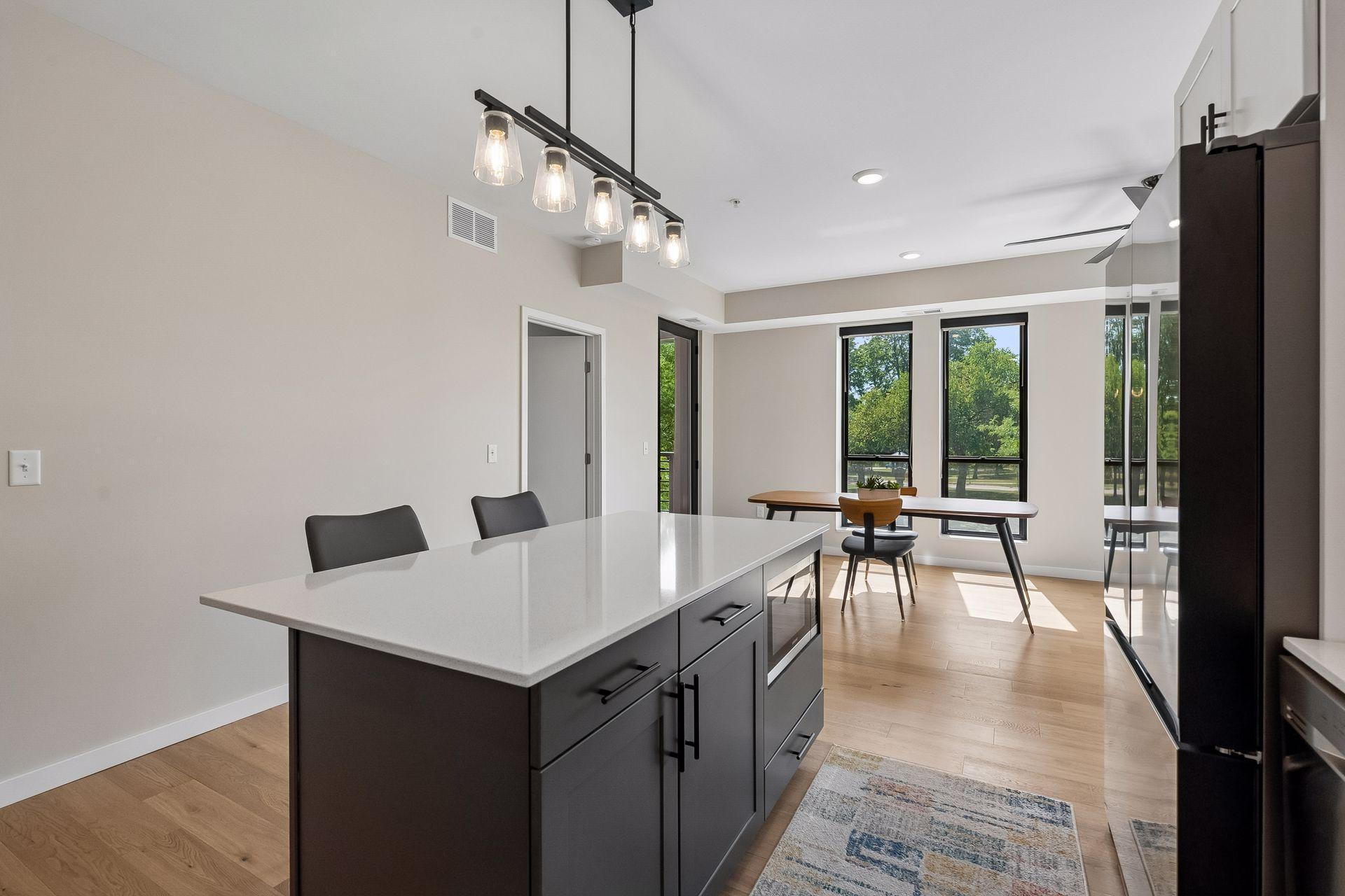 View of Residential at 4745 Minnehaha Avenue #201, Minneapolis MN 55406, Minneapolis (6 of 32) - Mike Wilen | Minnesota Team Real Estate