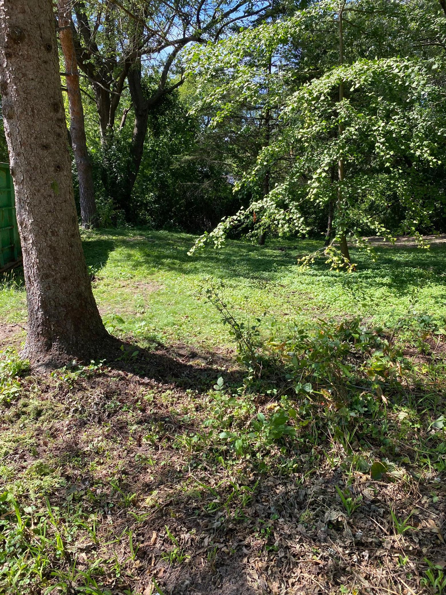 View of Land at 14819 Cherry Lane, Minnetonka MN 55345, Minnetonka (2 of 7) - Mike Wilen | Minnesota Team Real Estate