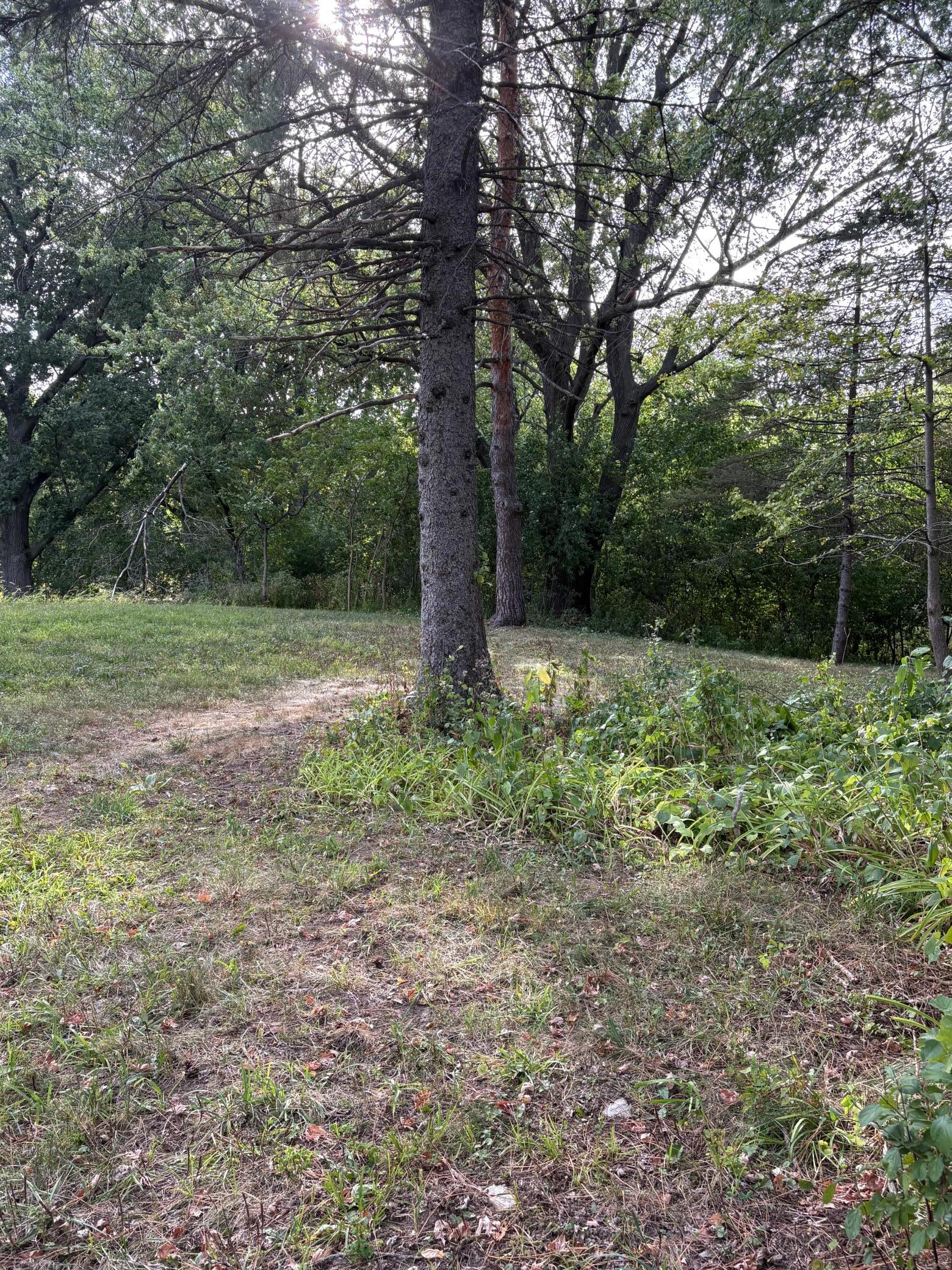 View of Land at 14819 Cherry Lane, Minnetonka MN 55345, Minnetonka (6 of 7) - Mike Wilen | Minnesota Team Real Estate
