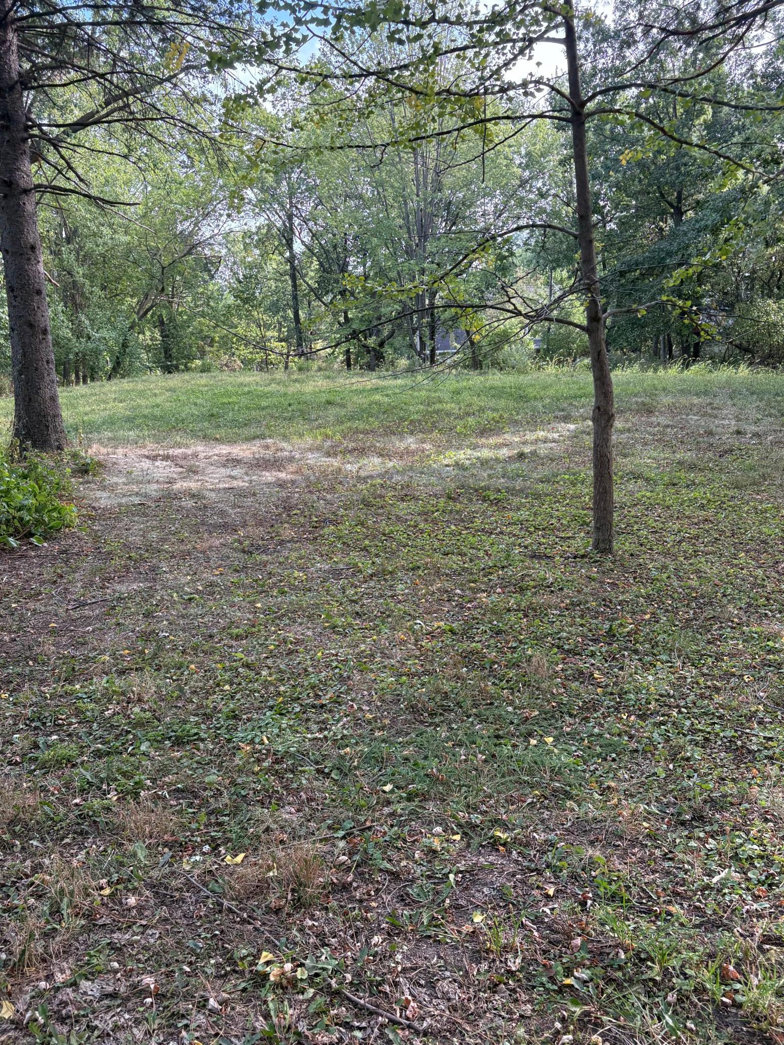 View of Land at 14819 Cherry Lane, Minnetonka MN 55345, Minnetonka (5 of 7) - Mike Wilen | Minnesota Team Real Estate