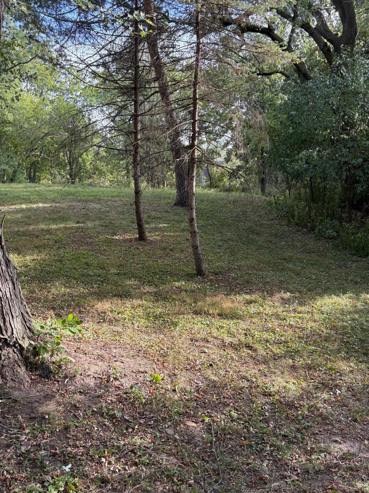 View of Land at 14819 Cherry Lane, Minnetonka MN 55345, Minnetonka (4 of 7) - Mike Wilen | Minnesota Team Real Estate