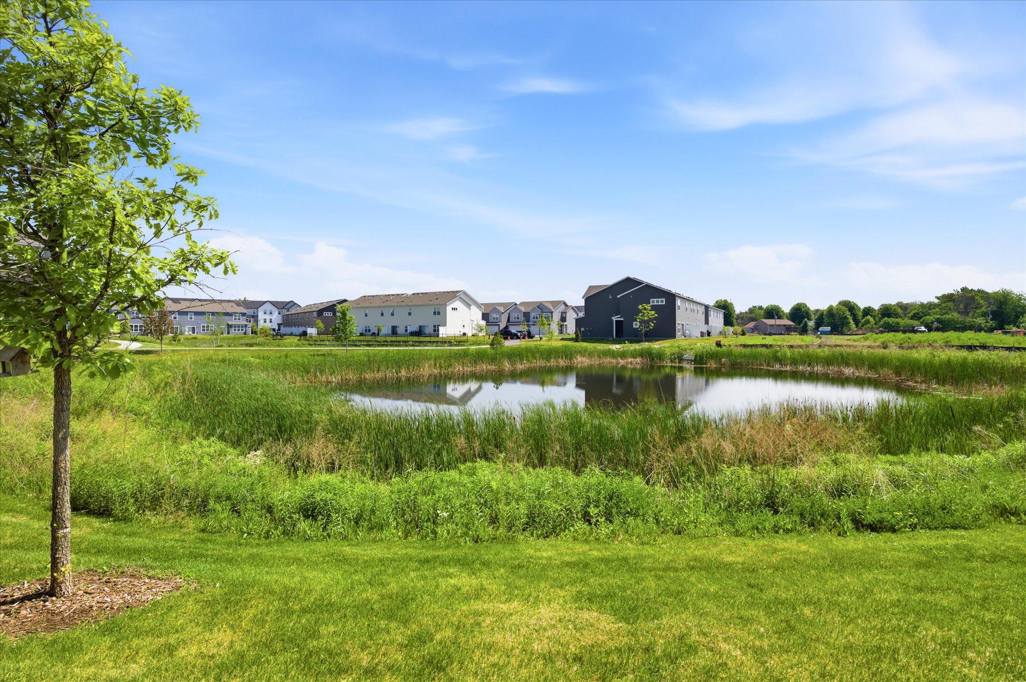 View of Residential at 13571 Pine Drive, Rogers MN 55374, Rogers (6 of 31) - Mike Wilen | Minnesota Team Real Estate