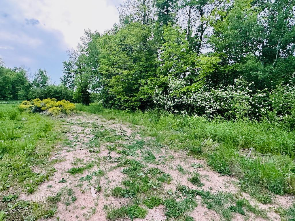 View of Land at 8514 Tennis Terrace, Onamia MN 56359, Onamia (11 of 13) - Mike Wilen | Minnesota Team Real Estate
