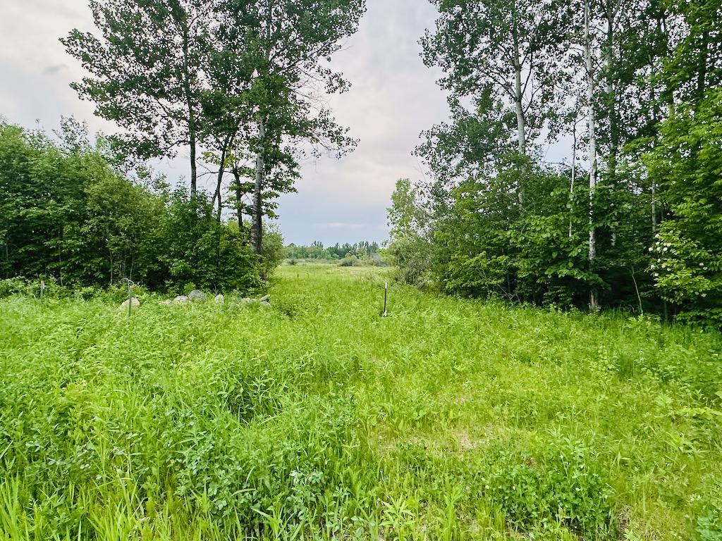 View of Land at 8514 Tennis Terrace, Onamia MN 56359, Onamia (5 of 13) - Mike Wilen | Minnesota Team Real Estate