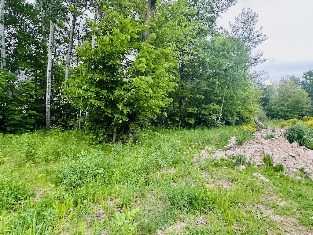 View of Land at 8514 Tennis Terrace, Onamia MN 56359, Onamia (9 of 13) - Mike Wilen | Minnesota Team Real Estate