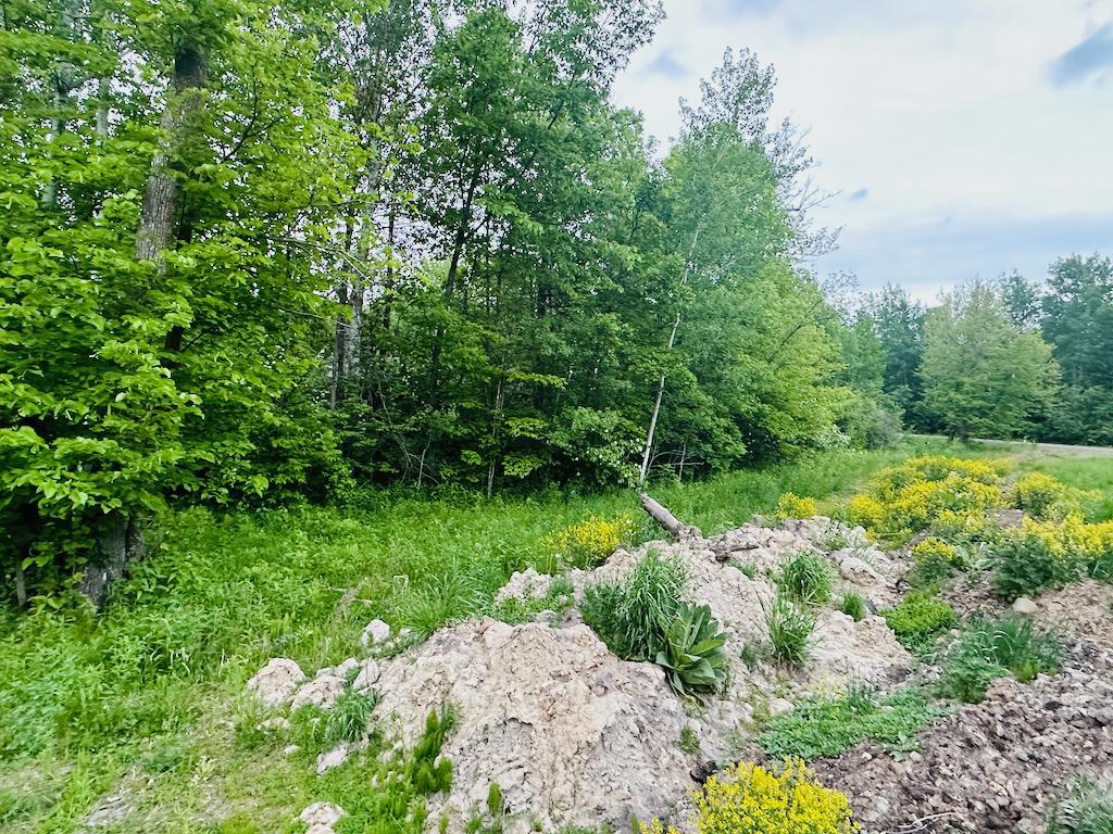 View of Land at 8514 Tennis Terrace, Onamia MN 56359, Onamia (7 of 13) - Mike Wilen | Minnesota Team Real Estate