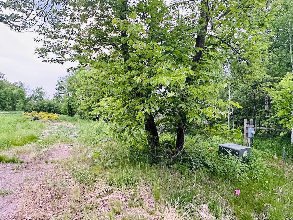 View of Land at 8514 Tennis Terrace, Onamia MN 56359, Onamia (4 of 13) - Mike Wilen | Minnesota Team Real Estate