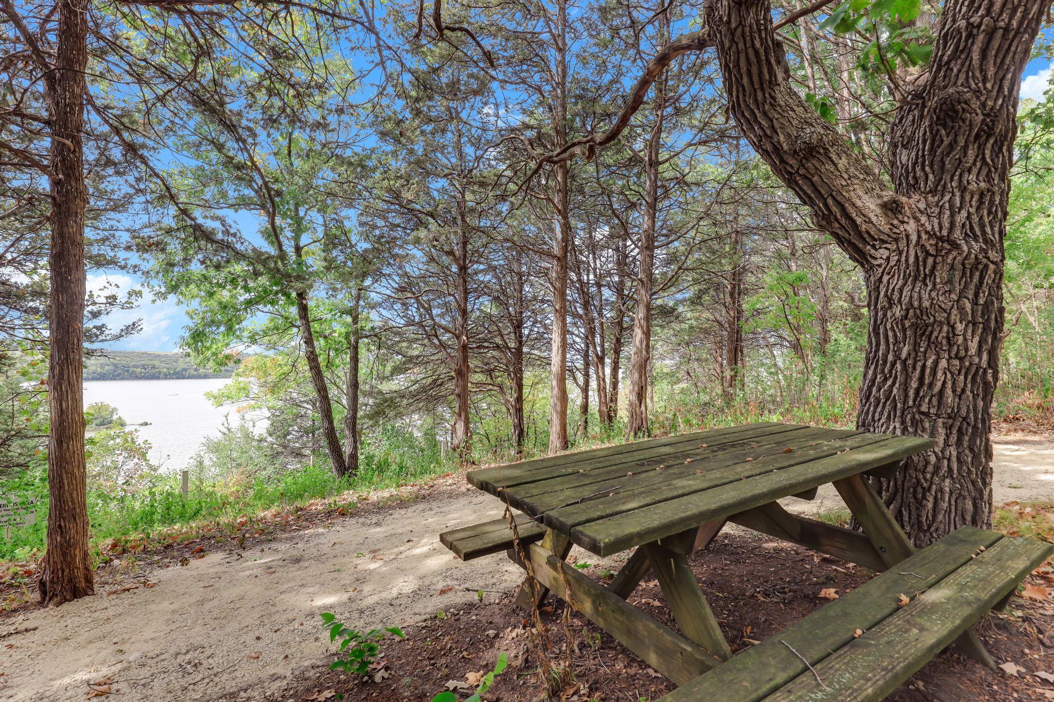 View of Residential at 11643 122nd Street, Hastings MN 55033, Hastings (61 of 65) - Mike Wilen | Minnesota Team Real Estate