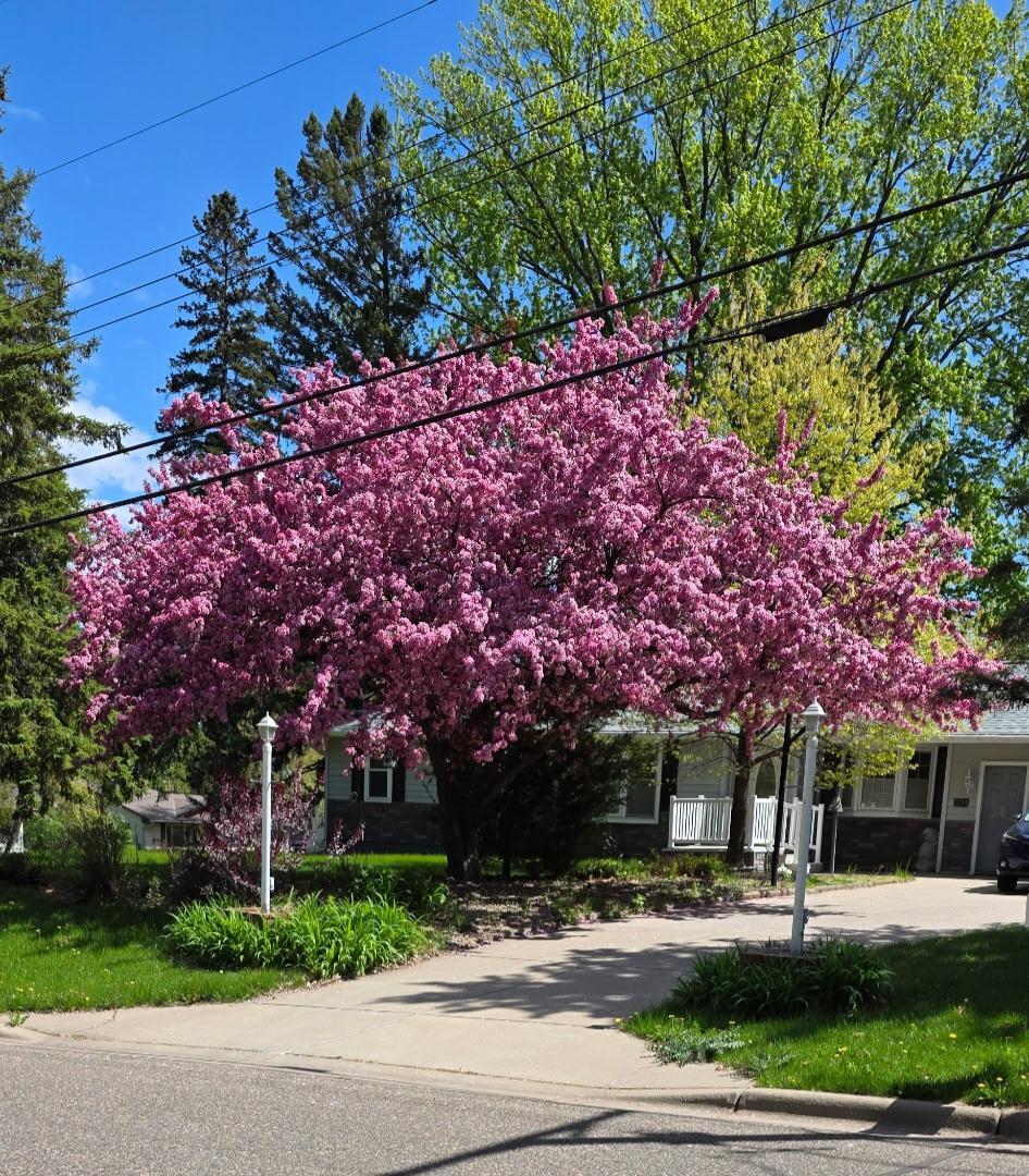View of Residential at 2244 Mcmenemy Street, Maplewood MN 55117, Maplewood (16 of 17) - Mike Wilen | Minnesota Team Real Estate