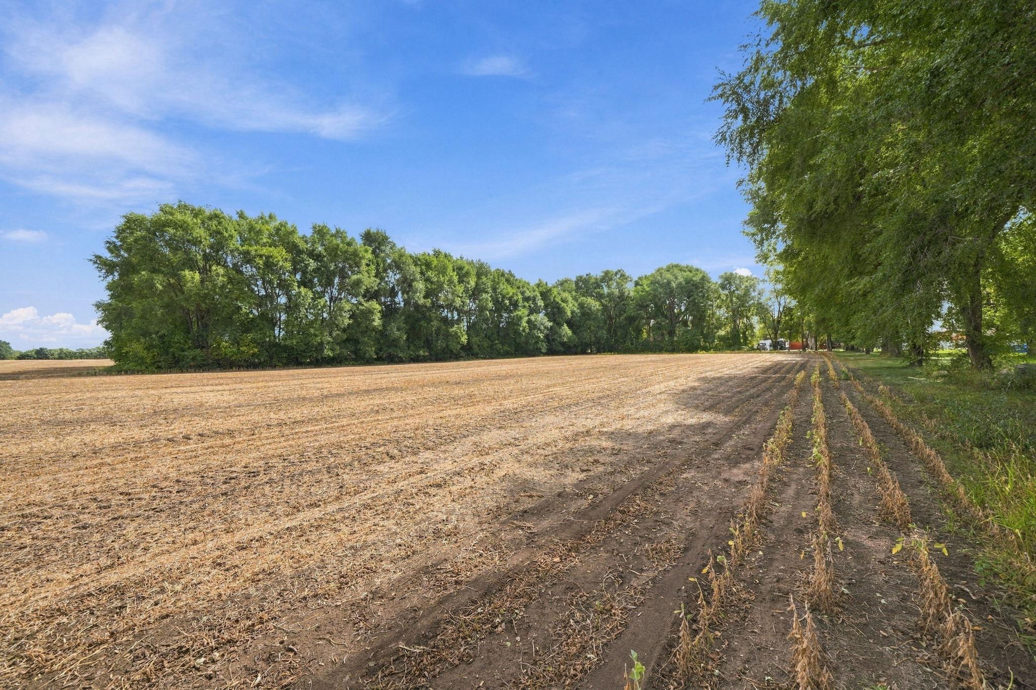 View of Land at 29XXX Gerlach Way, Randolph MN 55065, Randolph (6 of 18) - Mike Wilen | Minnesota Team Real Estate