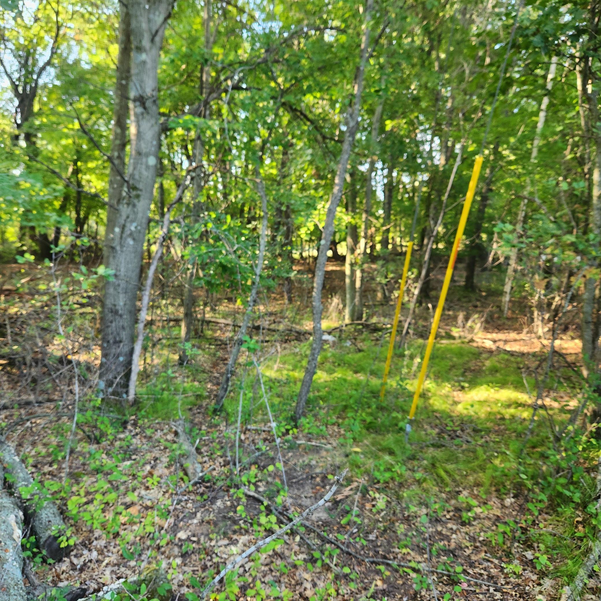 View of Land at TBD 241st Lane, Bethel MN 55005, Bethel (2 of 2) - Mike Wilen | Minnesota Team Real Estate