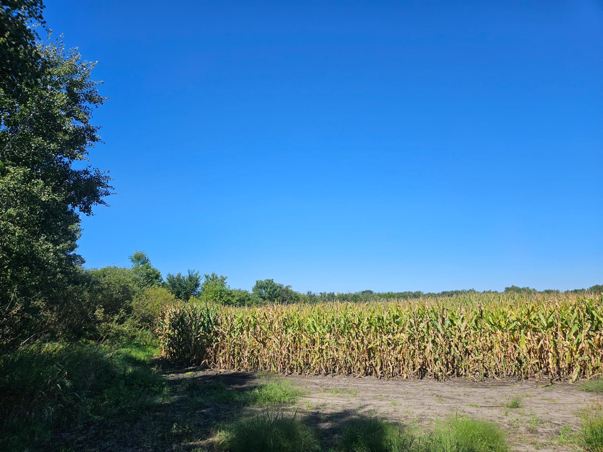 View of Land at xxxx 313th Avenue, Princeton MN 55371, Princeton (10 of 12) - Mike Wilen | Minnesota Team Real Estate