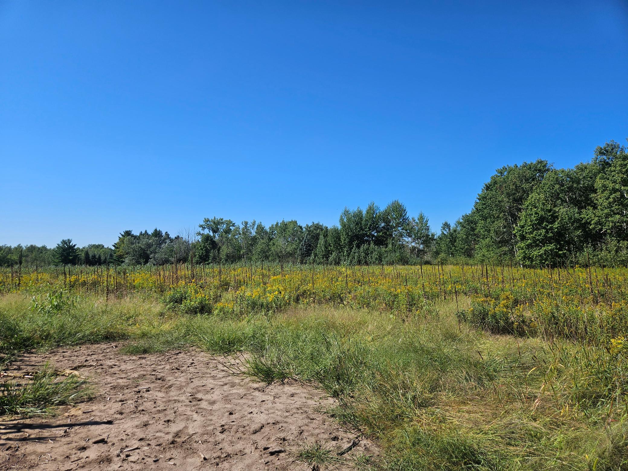 View of Land at xxxx 313th Avenue, Princeton MN 55371, Princeton (11 of 12) - Mike Wilen | Minnesota Team Real Estate