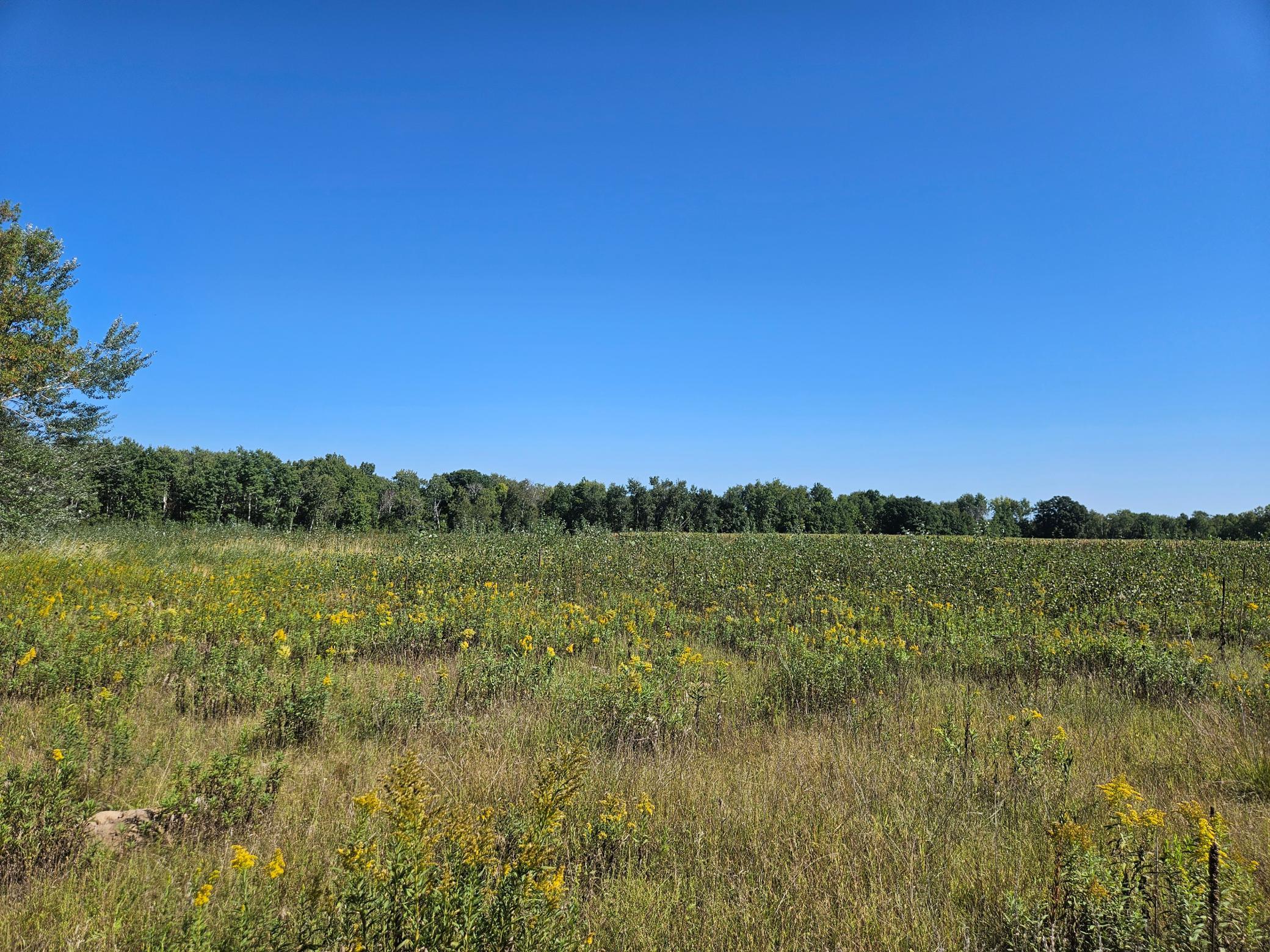View of Land at xxxx 313th Avenue, Princeton MN 55371, Princeton (2 of 12) - Mike Wilen | Minnesota Team Real Estate