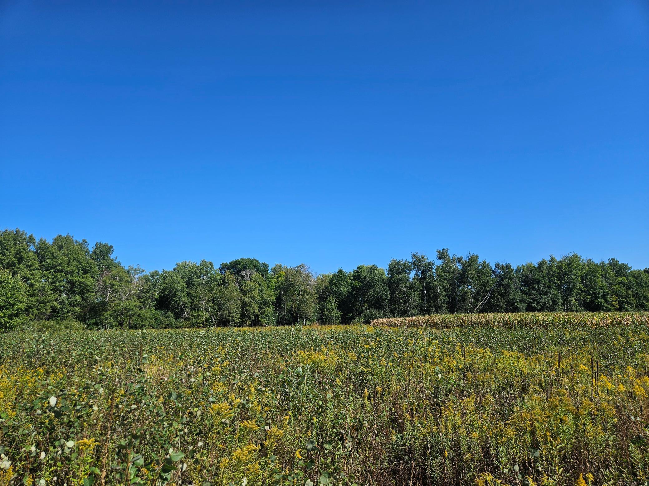 View of Land at xxxx 313th Avenue, Princeton MN 55371, Princeton (4 of 12) - Mike Wilen | Minnesota Team Real Estate