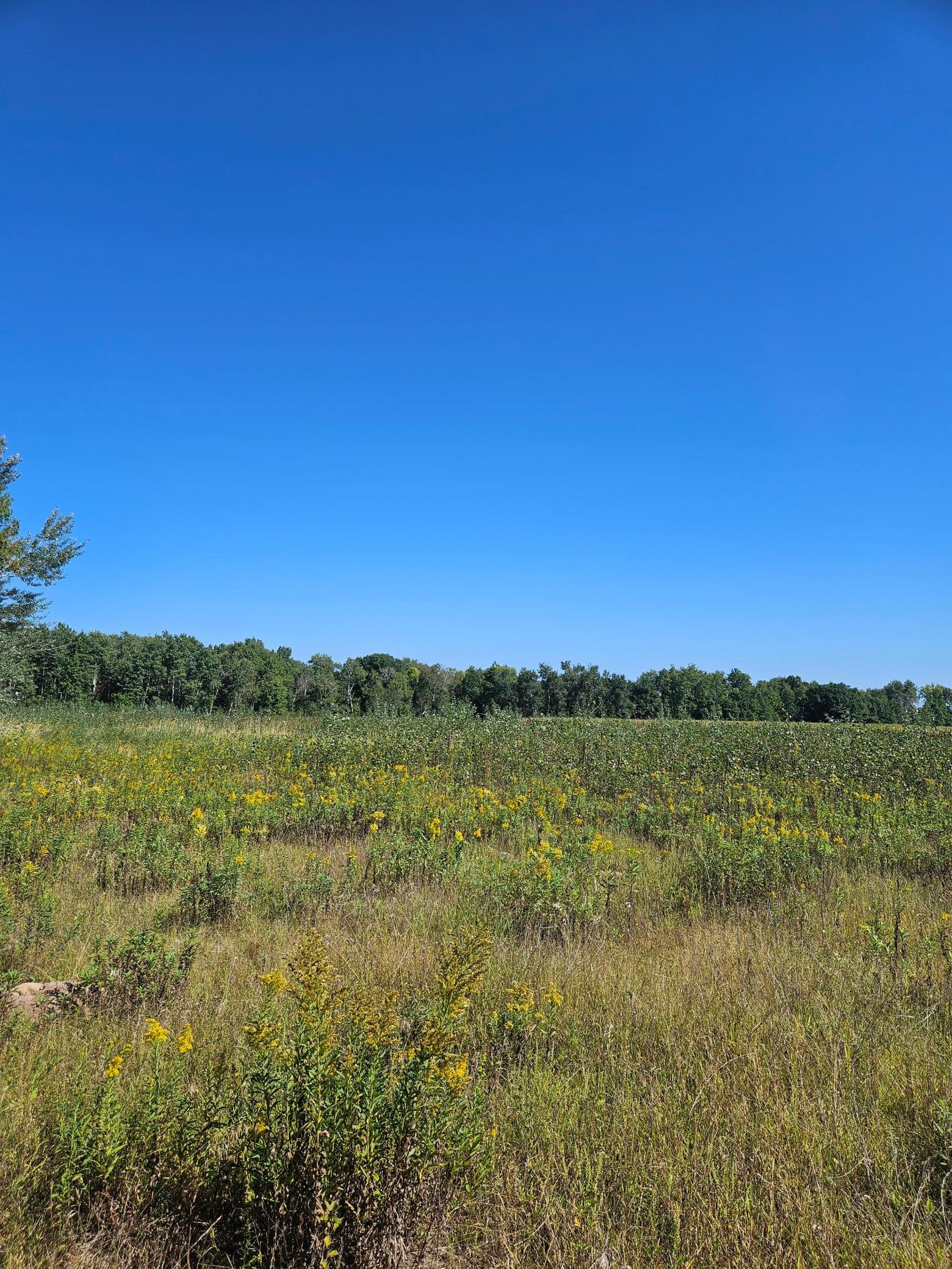 View of Land at xxxx 313th Avenue, Princeton MN 55371, Princeton (7 of 12) - Mike Wilen | Minnesota Team Real Estate