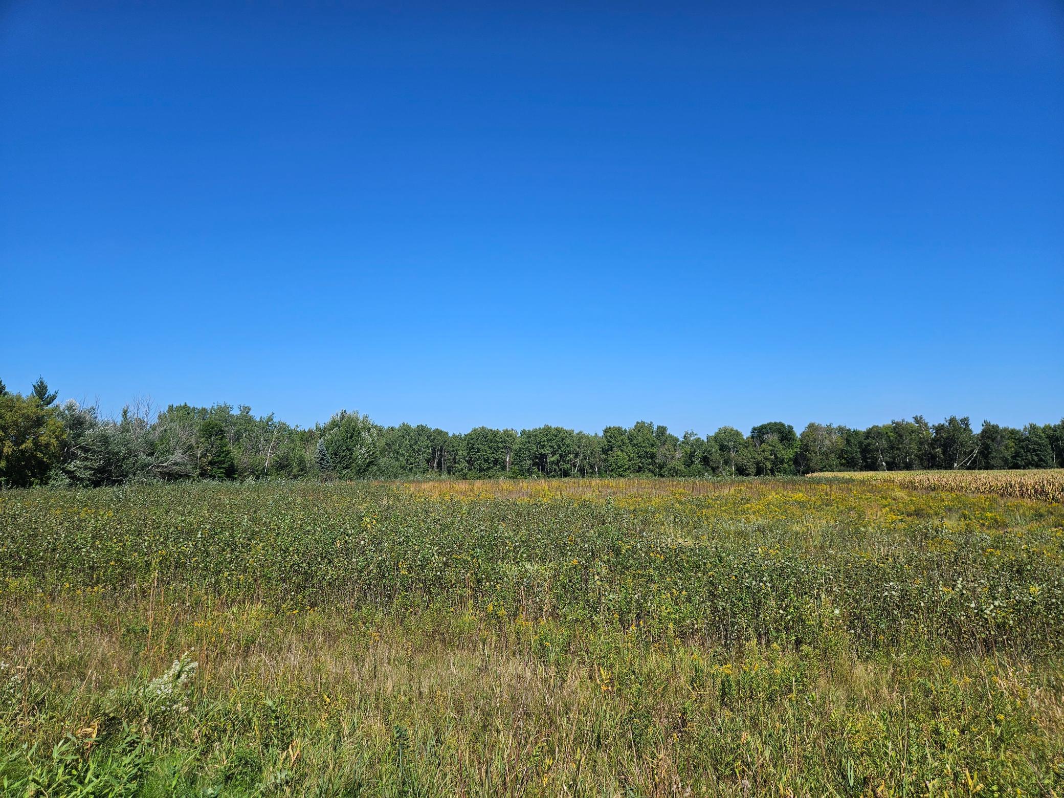 View of Residential Lot at xxxx 313th Avenue, Princeton - Mike Wilen | Minnesota Team Real Estate