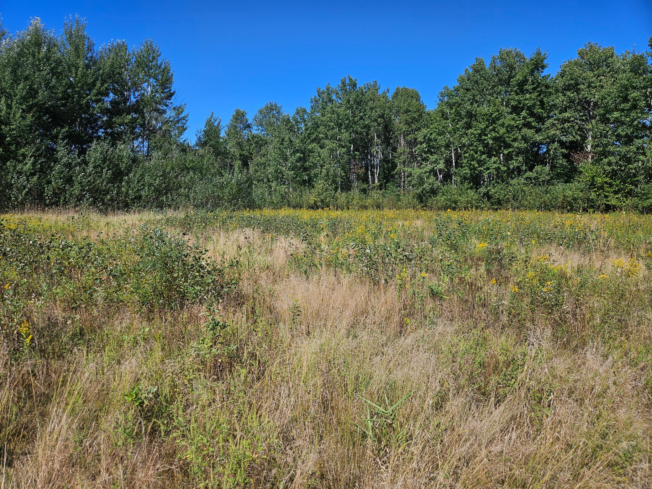 View of Land at xxxx 313th Avenue, Princeton MN 55371, Princeton (5 of 12) - Mike Wilen | Minnesota Team Real Estate