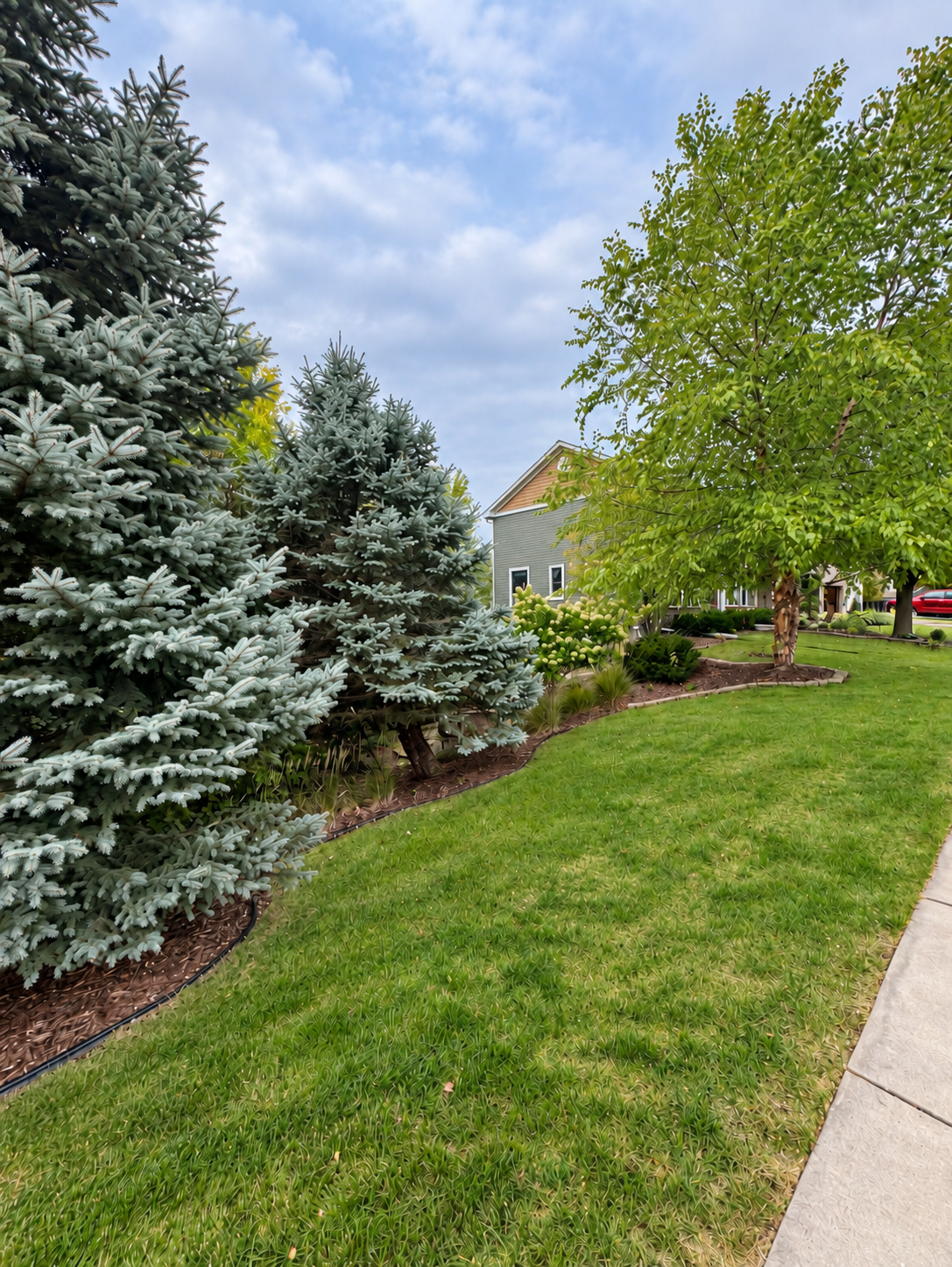 View of Residential at 16917 73rd Place, Maple Grove MN 55311, Maple Grove (50 of 53) - Mike Wilen | Minnesota Team Real Estate
