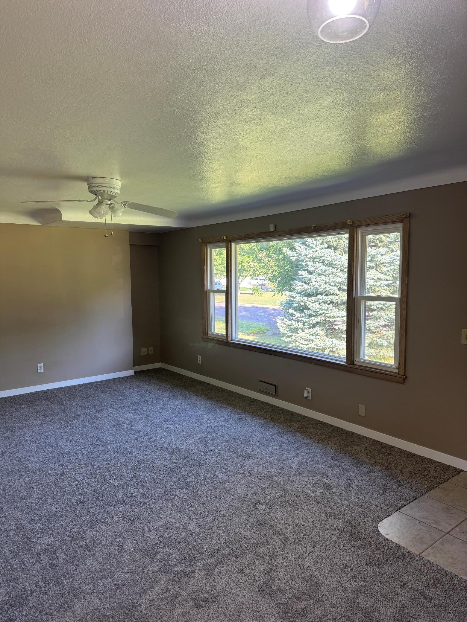 View of Residential at 435 Ottawa Street, Le Center MN 56057, Le Center (4 of 19) - Mike Wilen | Minnesota Team Real Estate