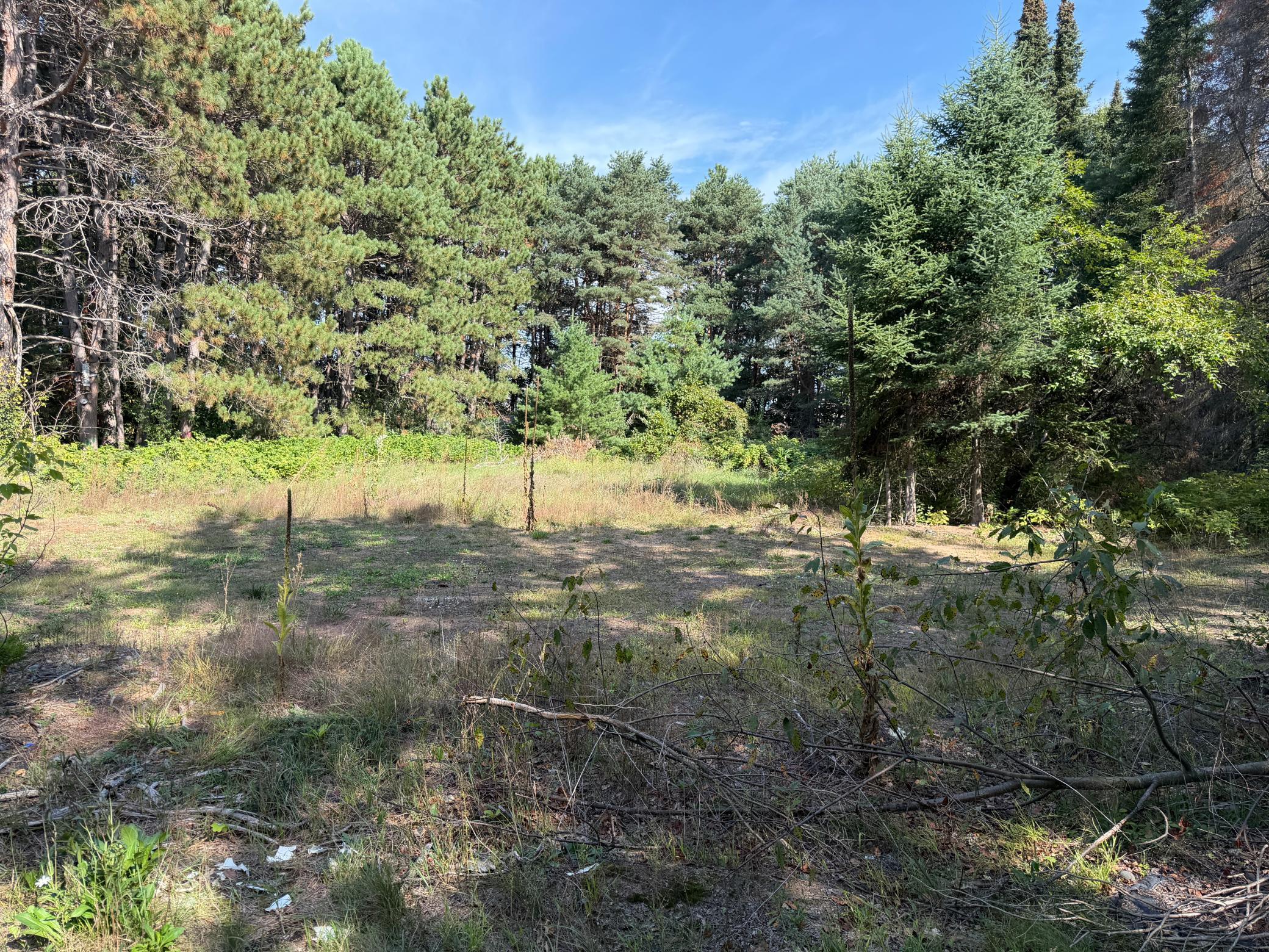 View of Land at 5435 Pine Lane, North Branch - Mike Wilen | Minnesota Team Real Estate