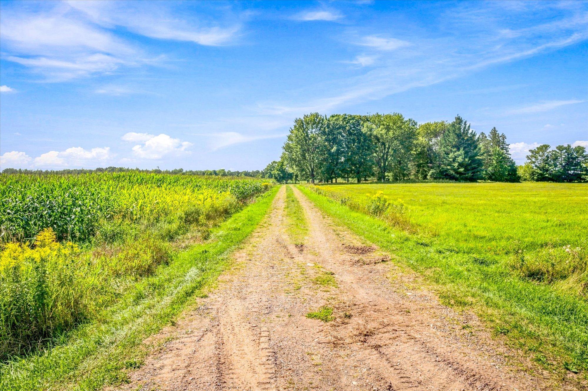 View of Land at TBD XXX 140th Avenue, Milaca MN 56353, Milaca (17 of 17) - Mike Wilen | Minnesota Team Real Estate