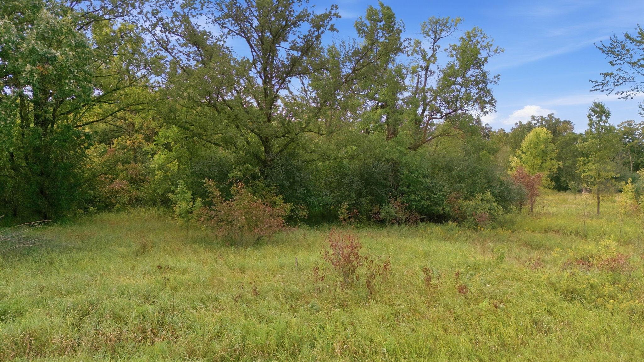 View of Land at TBD 130th Avenue, Milaca MN 56363, Milaca (8 of 17) - Mike Wilen | Minnesota Team Real Estate