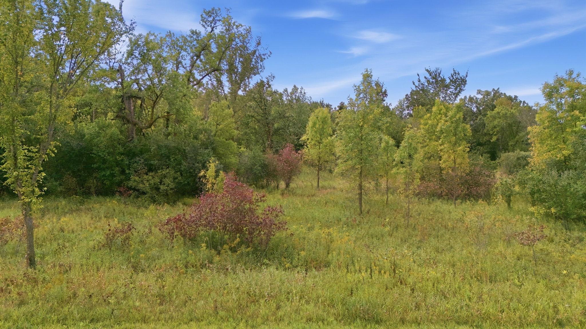 View of Land at TBD 130th Avenue, Milaca MN 56363, Milaca (7 of 17) - Mike Wilen | Minnesota Team Real Estate