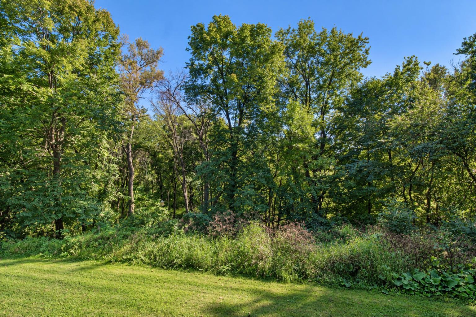 View of Residential at 1011 Cordova Avenue, Le Center MN 56057, Le Center (59 of 62) - Mike Wilen | Minnesota Team Real Estate