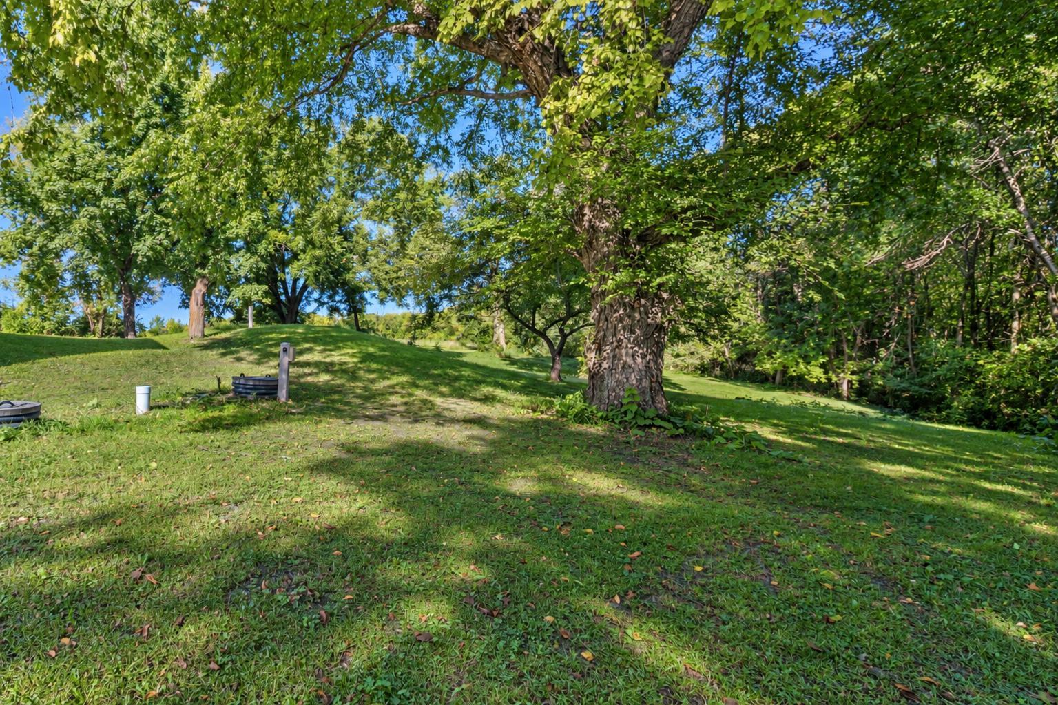 View of Residential at 1011 Cordova Avenue, Le Center MN 56057, Le Center (57 of 62) - Mike Wilen | Minnesota Team Real Estate