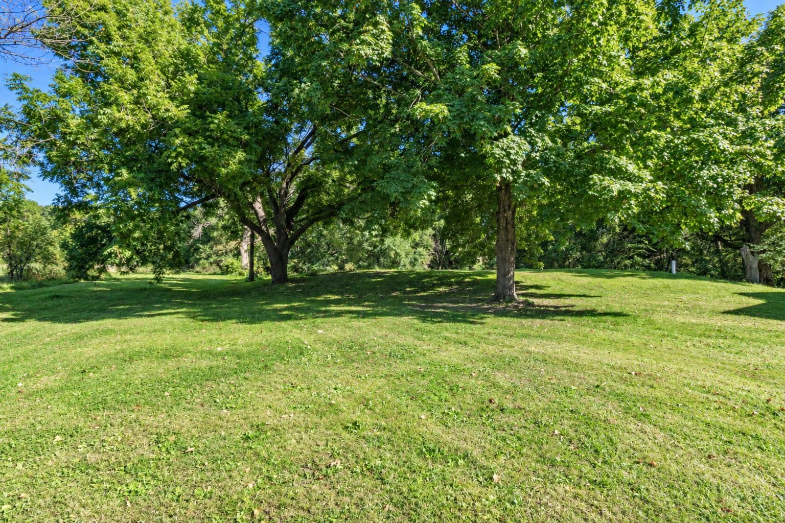View of Residential at 1011 Cordova Avenue, Le Center MN 56057, Le Center (56 of 62) - Mike Wilen | Minnesota Team Real Estate