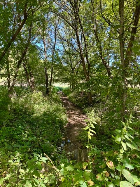 View of Land at TBD Westbay Lane, Waterville MN 56096, Waterville (24 of 27) - Mike Wilen | Minnesota Team Real Estate