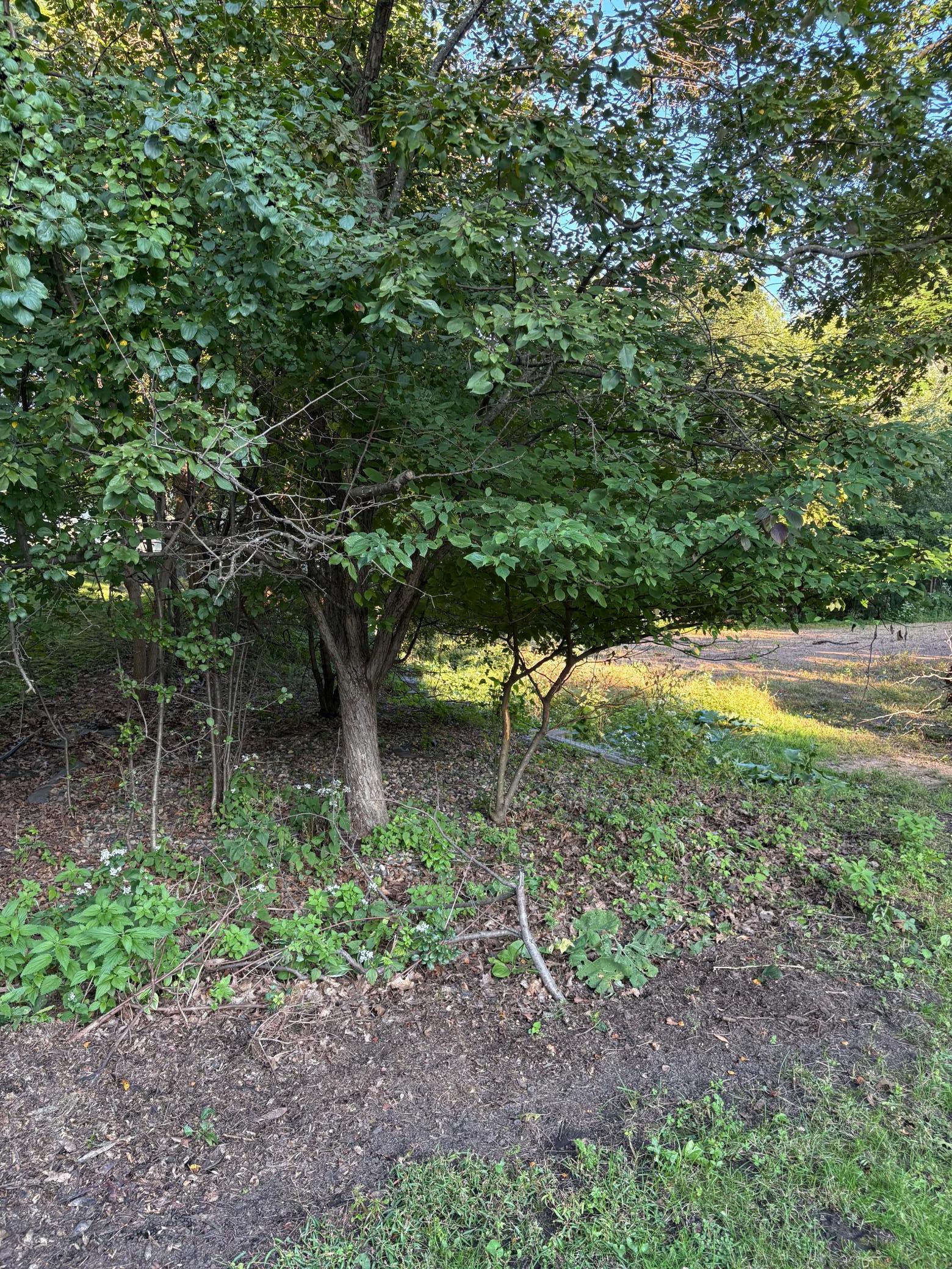 View of Land at 165xx Hidden Valley Road, Minnetonka MN 55345, Minnetonka (6 of 8) - Mike Wilen | Minnesota Team Real Estate