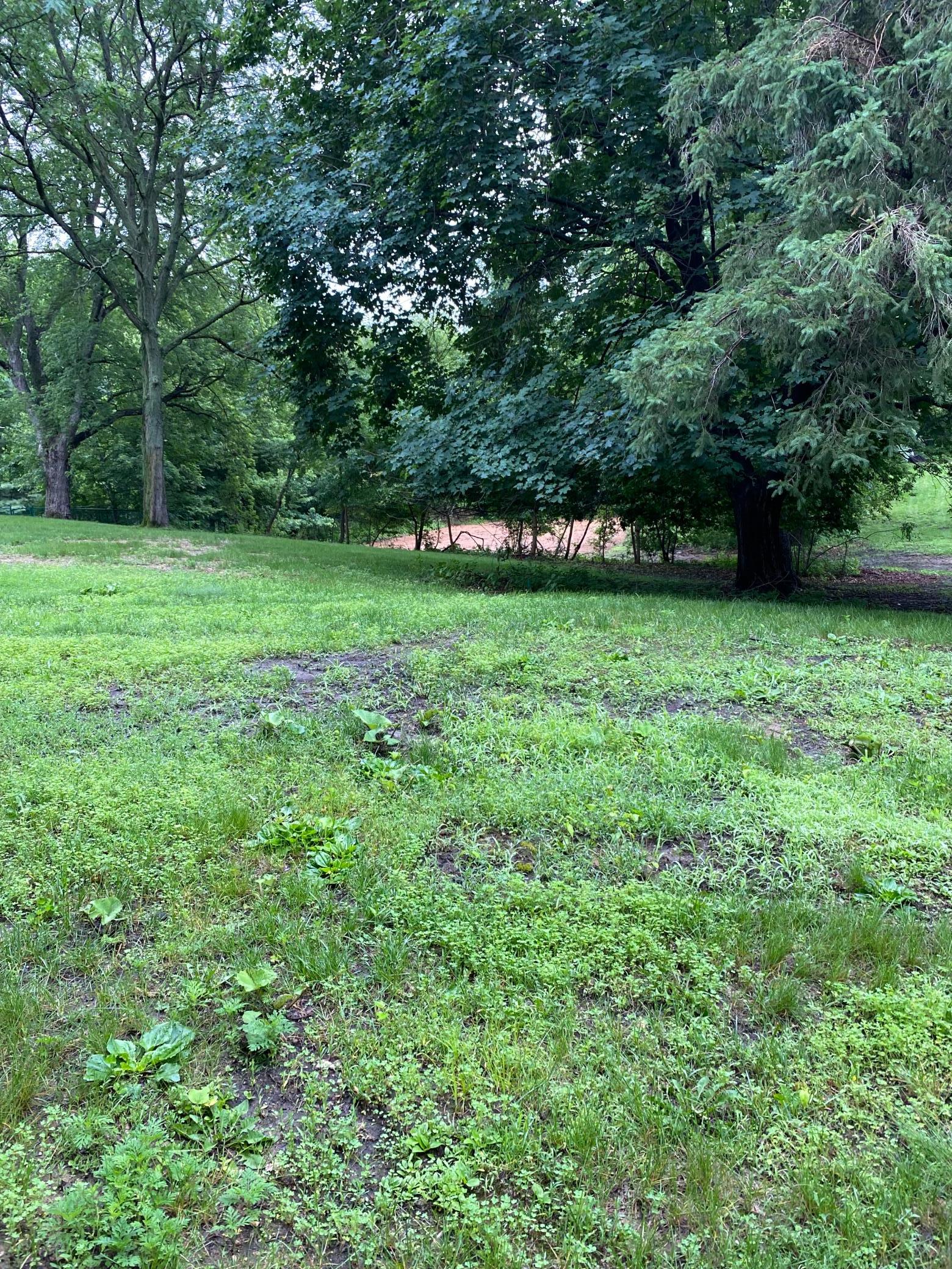 View of Land at 165xx Hidden Valley Road, Minnetonka MN 55345, Minnetonka (4 of 8) - Mike Wilen | Minnesota Team Real Estate