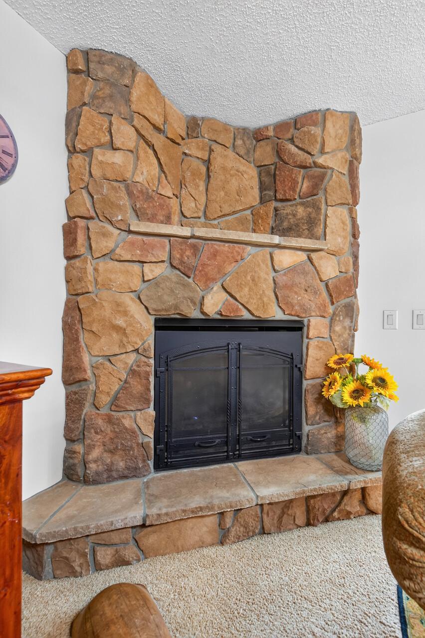 View of Residential at 830 Ramsey Avenue, Carver MN 55315, Carver (11 of 43) - Mike Wilen | Minnesota Team Real Estate
