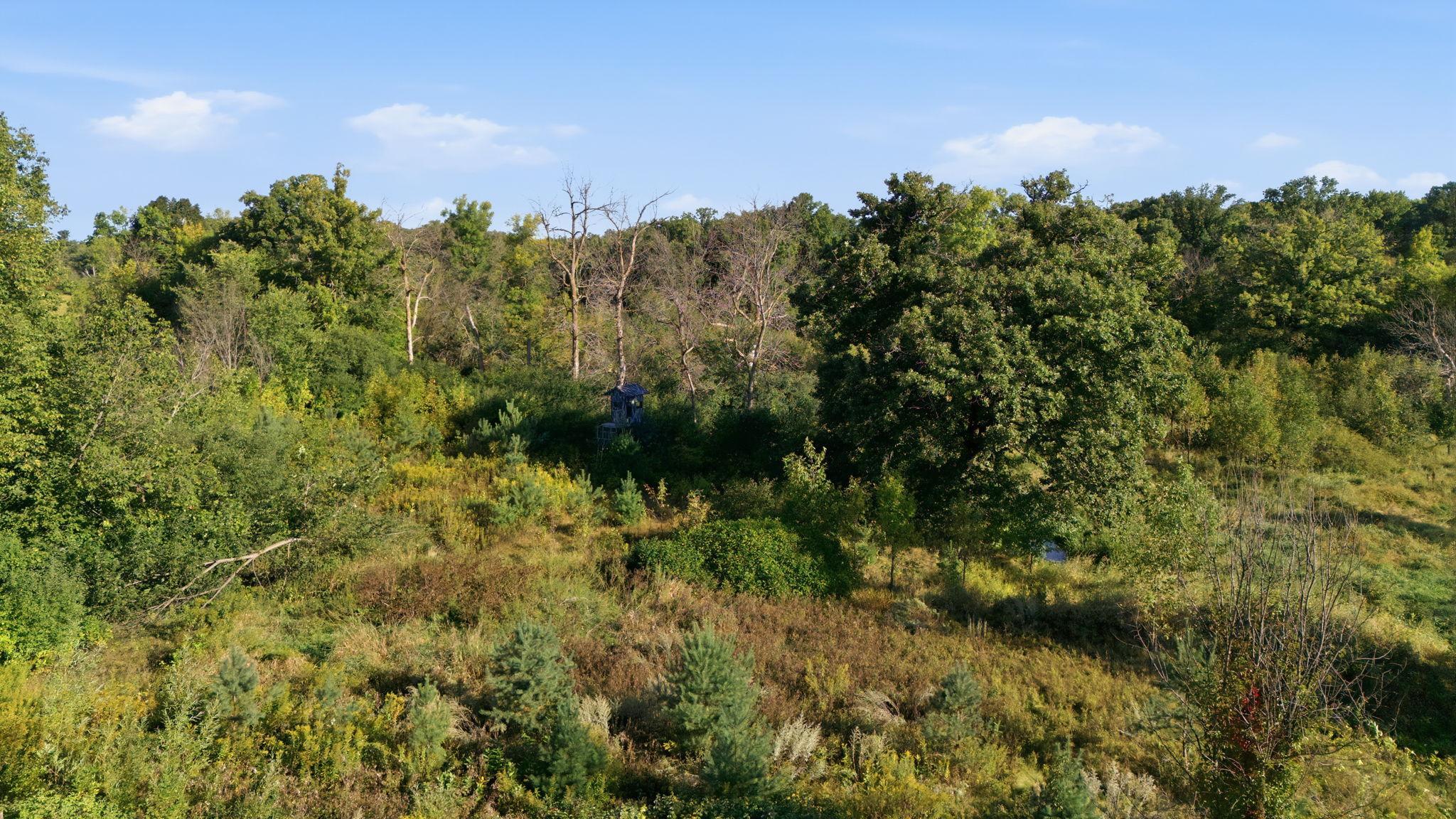 View of Residential at 5542 140th Street, Milaca MN 56353, Milaca (43 of 49) - Mike Wilen | Minnesota Team Real Estate