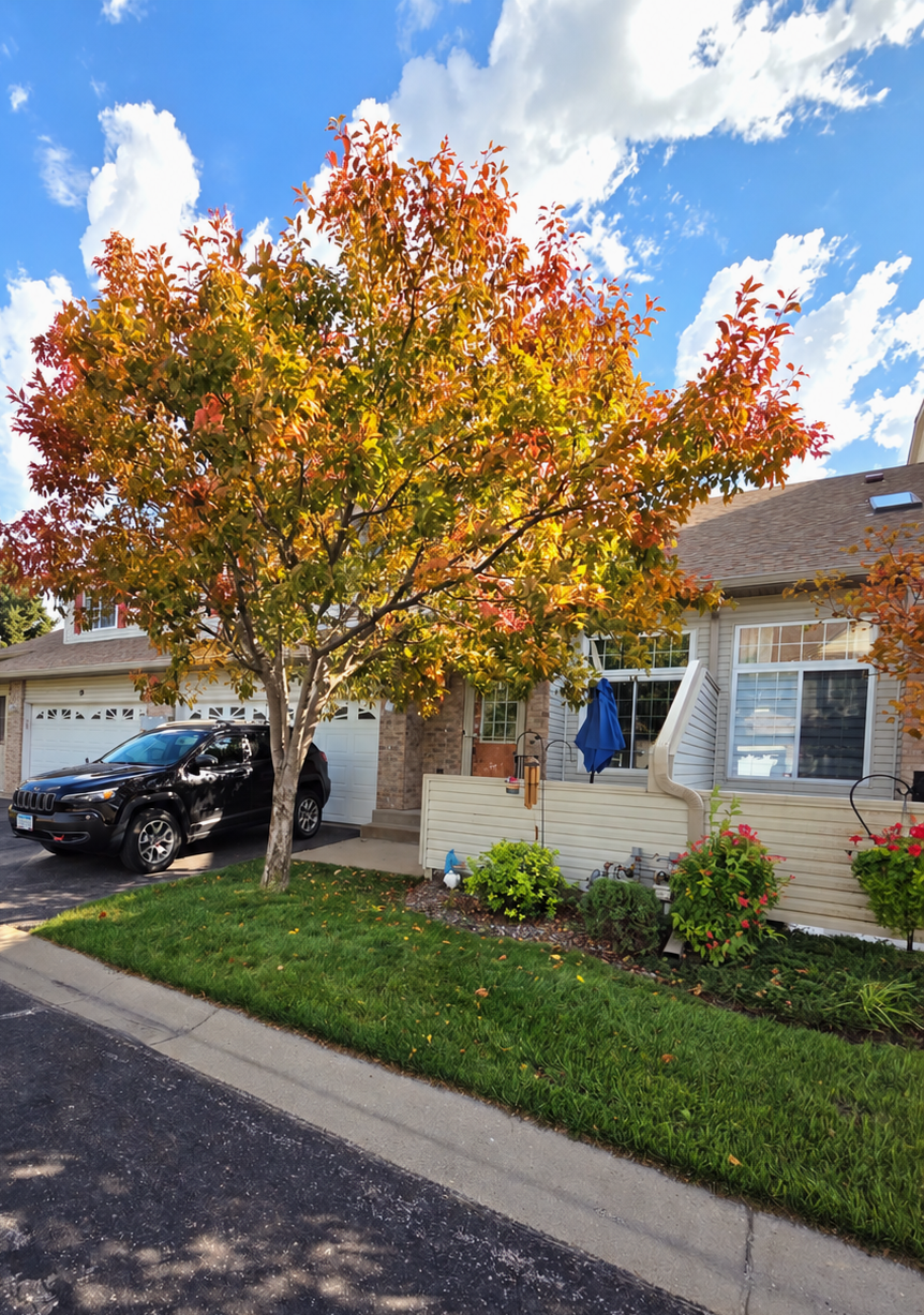 View of (TH) Side x Side at 14211 Xenon Street, Ramsey - Mike Wilen | Minnesota Team Real Estate