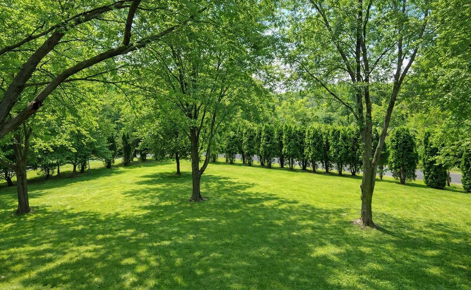 View of Residential at 22710 Pinto Lane, Lakeville MN 55044, Lakeville (2 of 5) - Mike Wilen | Minnesota Team Real Estate