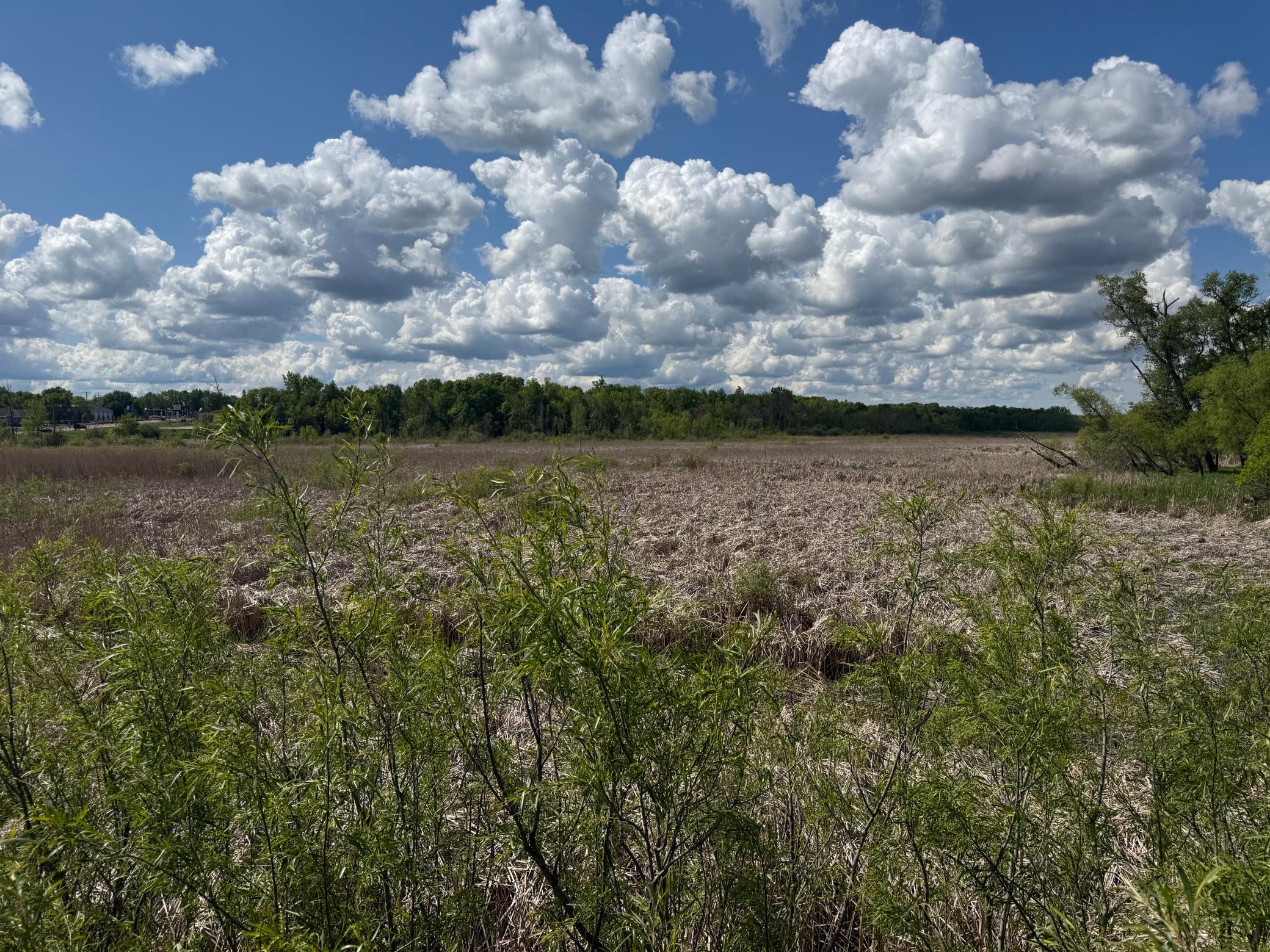 View of Residential Lot at 10485 4th Street, Hanover - Mike Wilen | Minnesota Team Real Estate