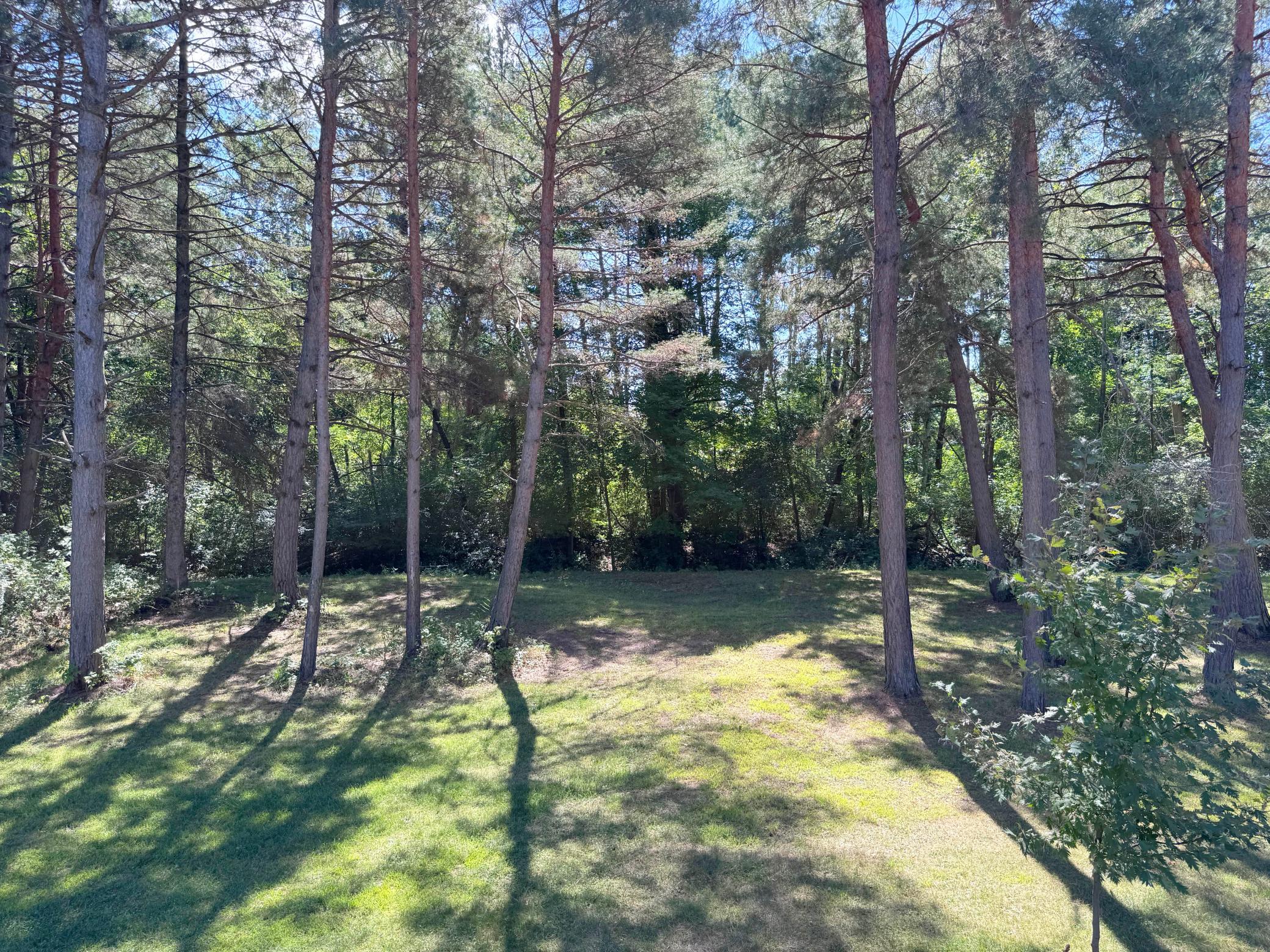 View of Residential at 18943 Fillmore Street, East Bethel MN 55011, East Bethel (49 of 76) - Mike Wilen | Minnesota Team Real Estate