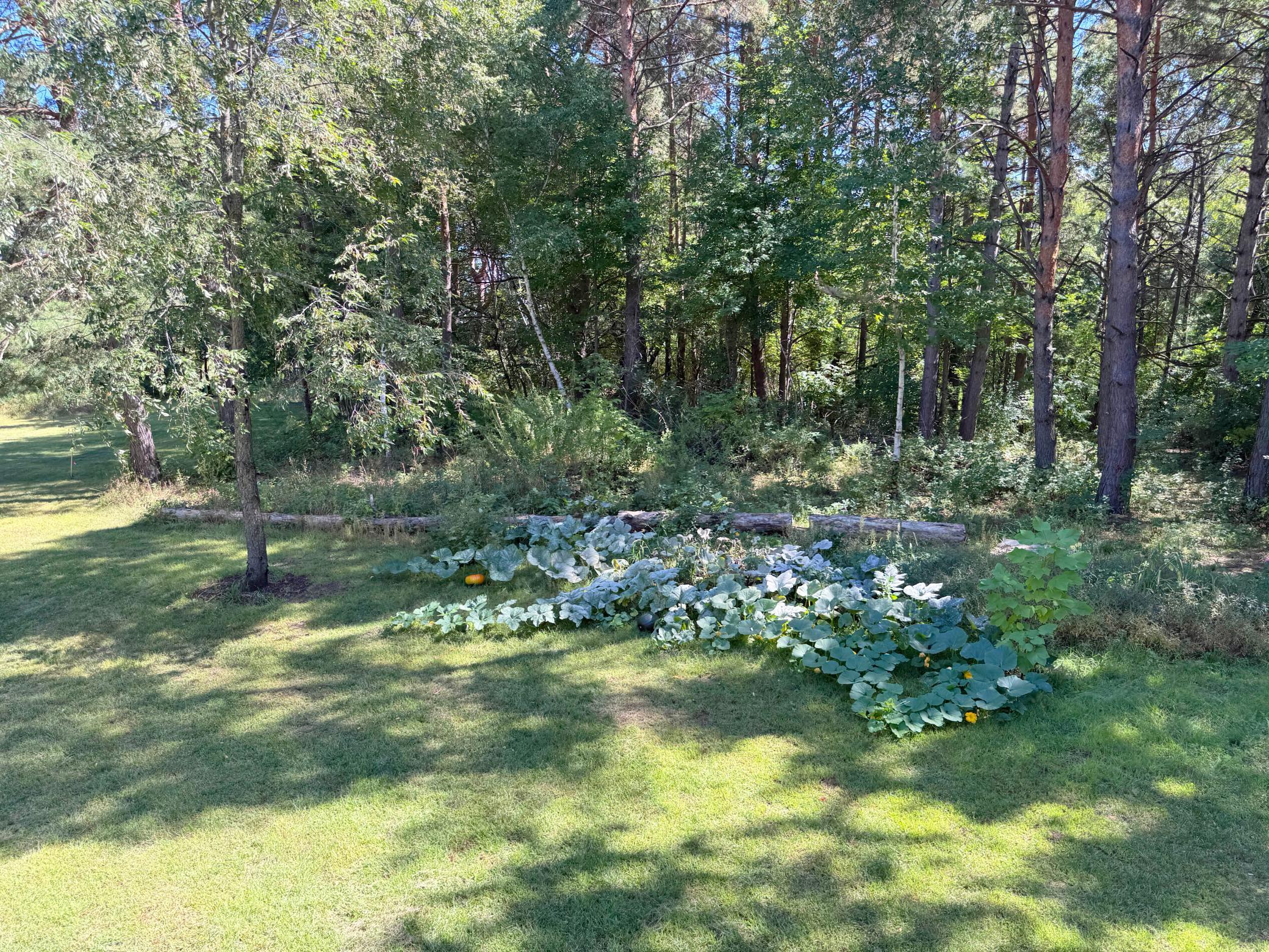 View of Residential at 18943 Fillmore Street, East Bethel MN 55011, East Bethel (48 of 76) - Mike Wilen | Minnesota Team Real Estate