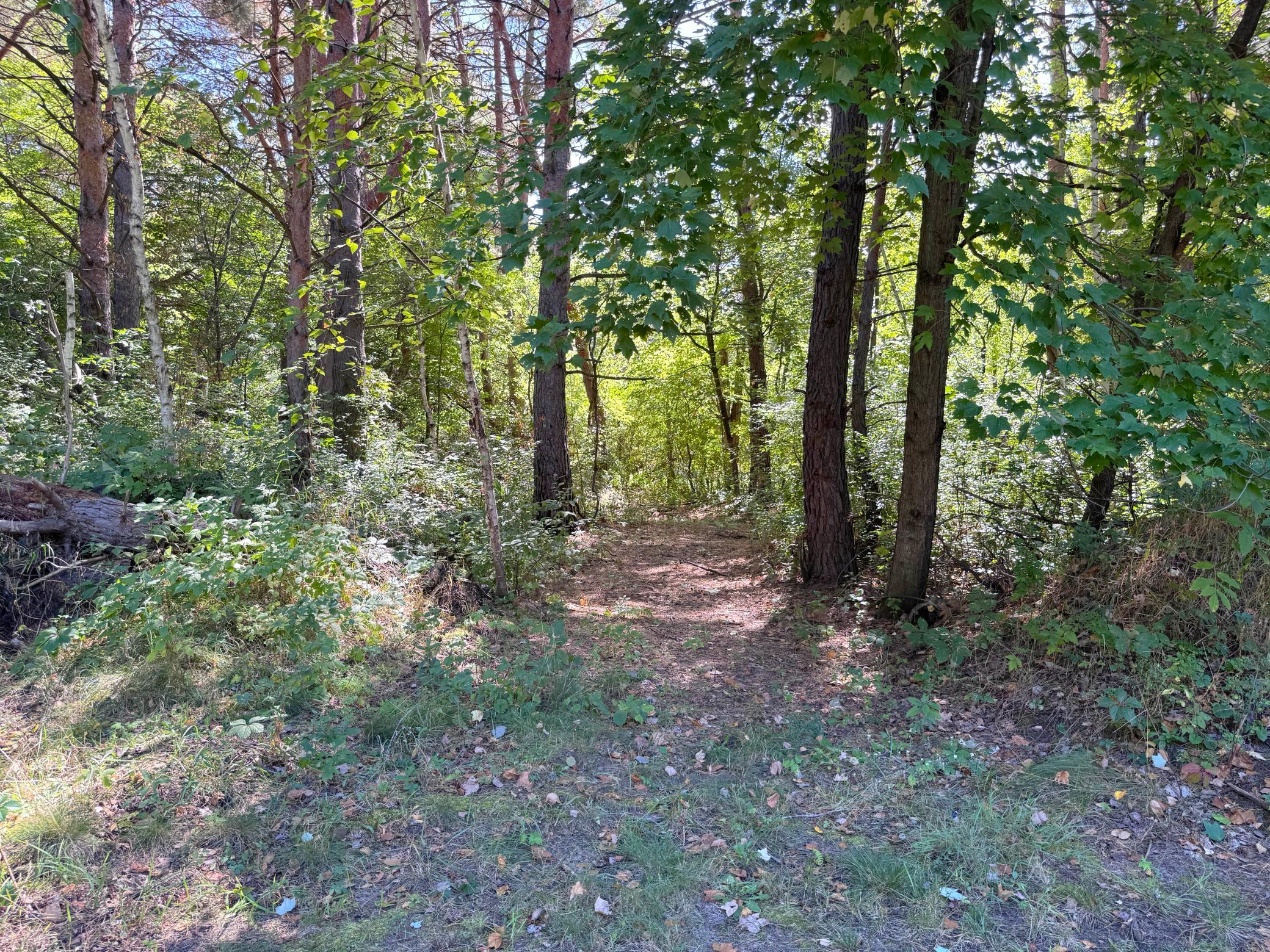 View of Residential at 18943 Fillmore Street, East Bethel MN 55011, East Bethel (68 of 76) - Mike Wilen | Minnesota Team Real Estate