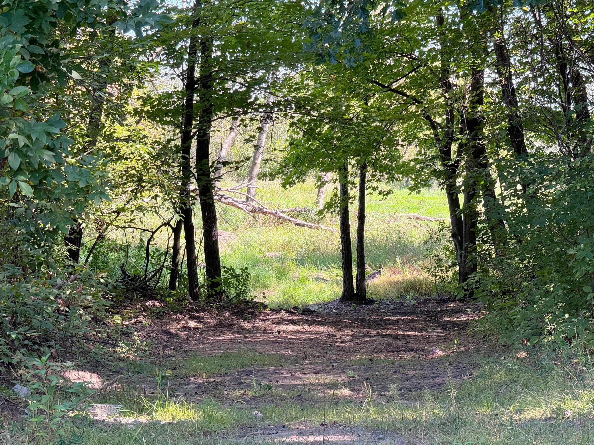 View of Residential at 18943 Fillmore Street, East Bethel MN 55011, East Bethel (67 of 76) - Mike Wilen | Minnesota Team Real Estate