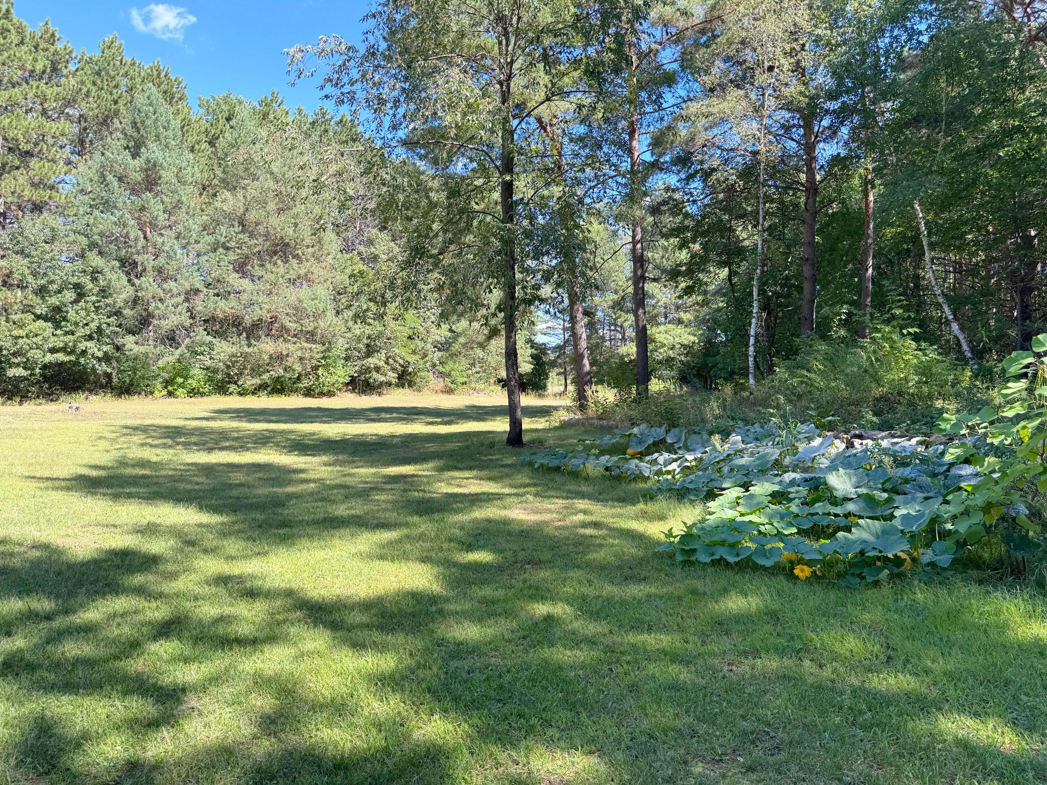View of Residential at 18943 Fillmore Street, East Bethel MN 55011, East Bethel (60 of 76) - Mike Wilen | Minnesota Team Real Estate