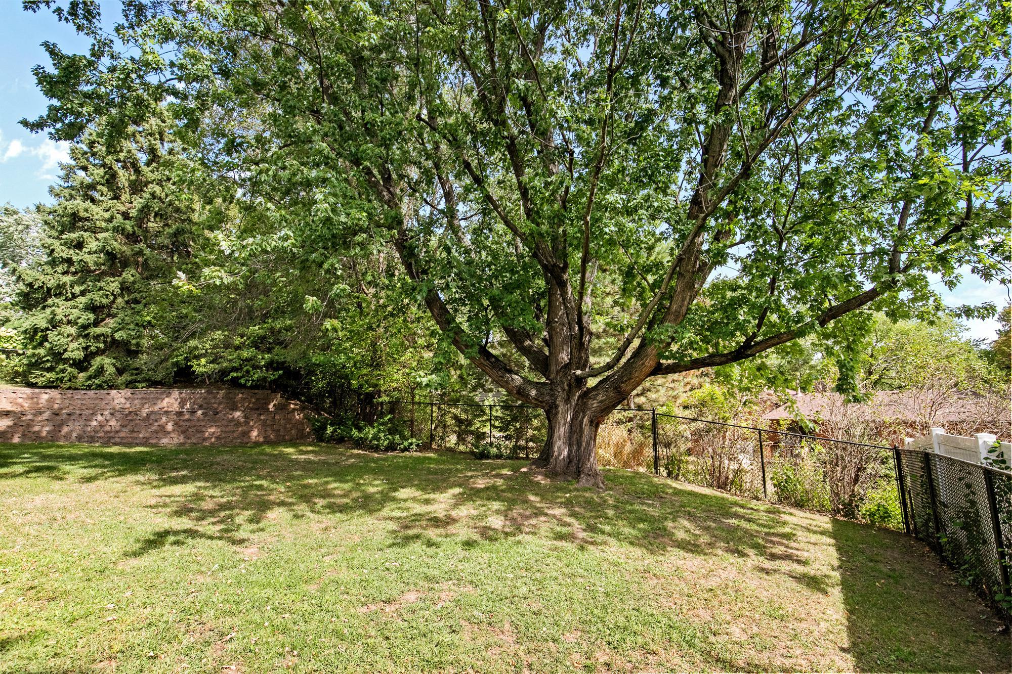 View of Residential at 4030 Mackubin Street, Shoreview MN 55126, Shoreview (41 of 44) - Mike Wilen | Minnesota Team Real Estate
