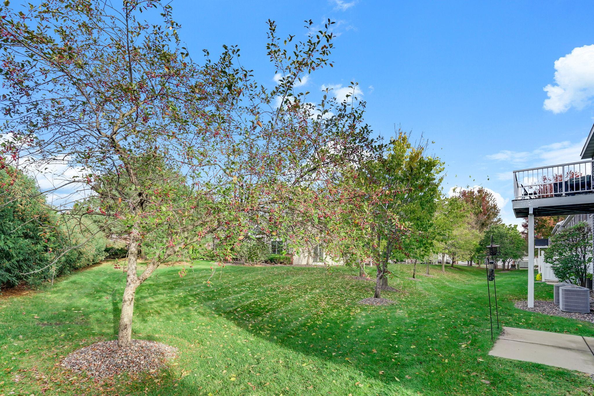 View of Residential at 6918 139th Lane #7, Anoka MN 55303, Anoka (23 of 30) - Mike Wilen | Minnesota Team Real Estate