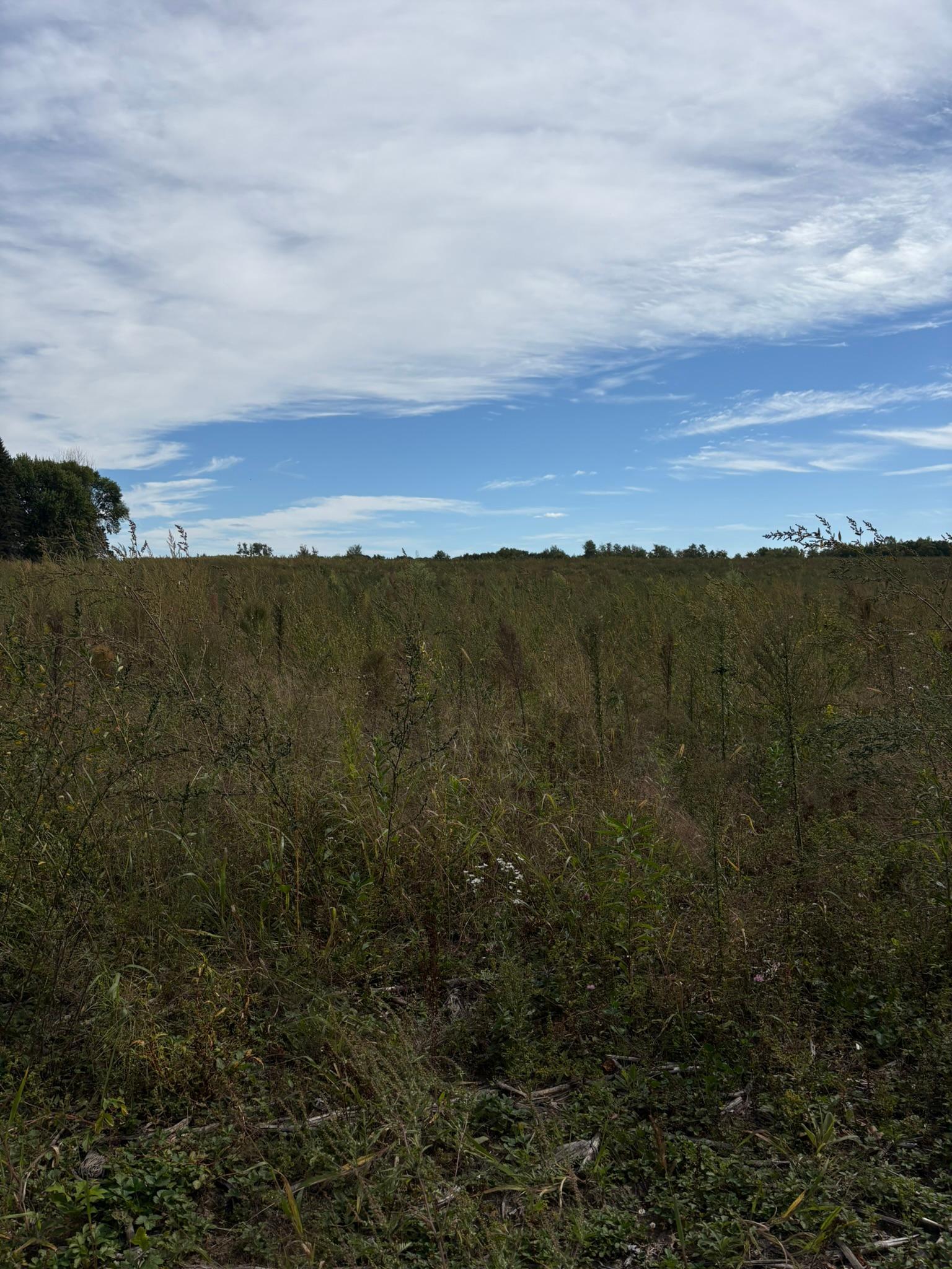 View of Land at TBD Holman Avenue, Harris - Mike Wilen | Minnesota Team Real Estate