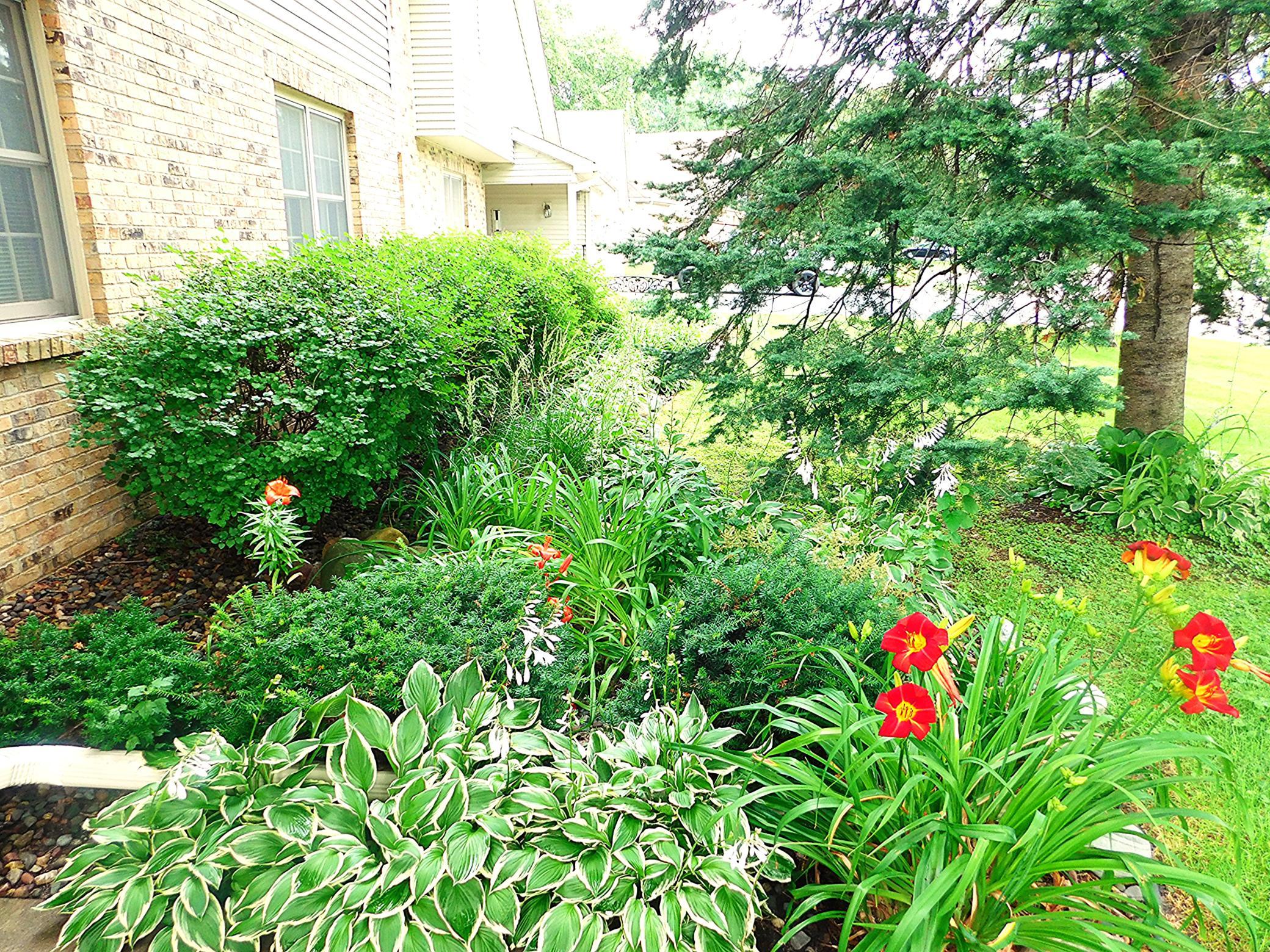View of Residential at 4293 Oakmede Lane #46C, White Bear Lake MN 55110, White Bear Lake (5 of 59) - Mike Wilen | Minnesota Team Real Estate